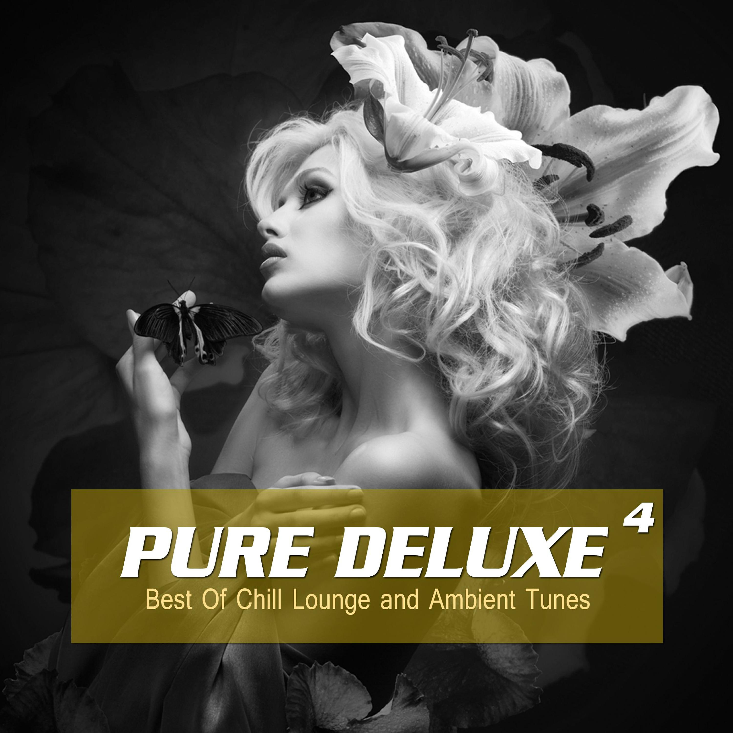 Nightview - Urban Gently Weeps (Funky Chillout Mix)