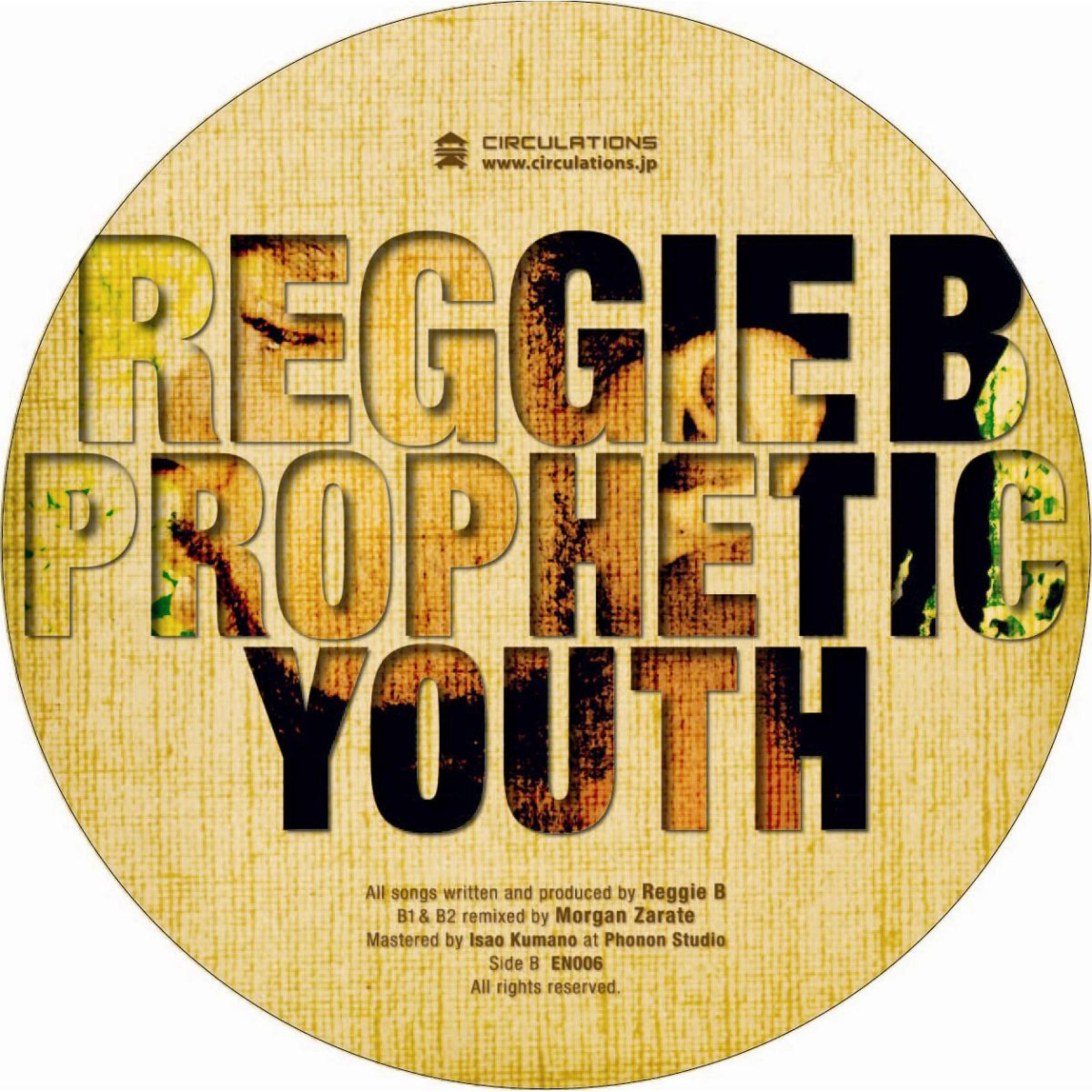 Постер альбома Prophetic Youth