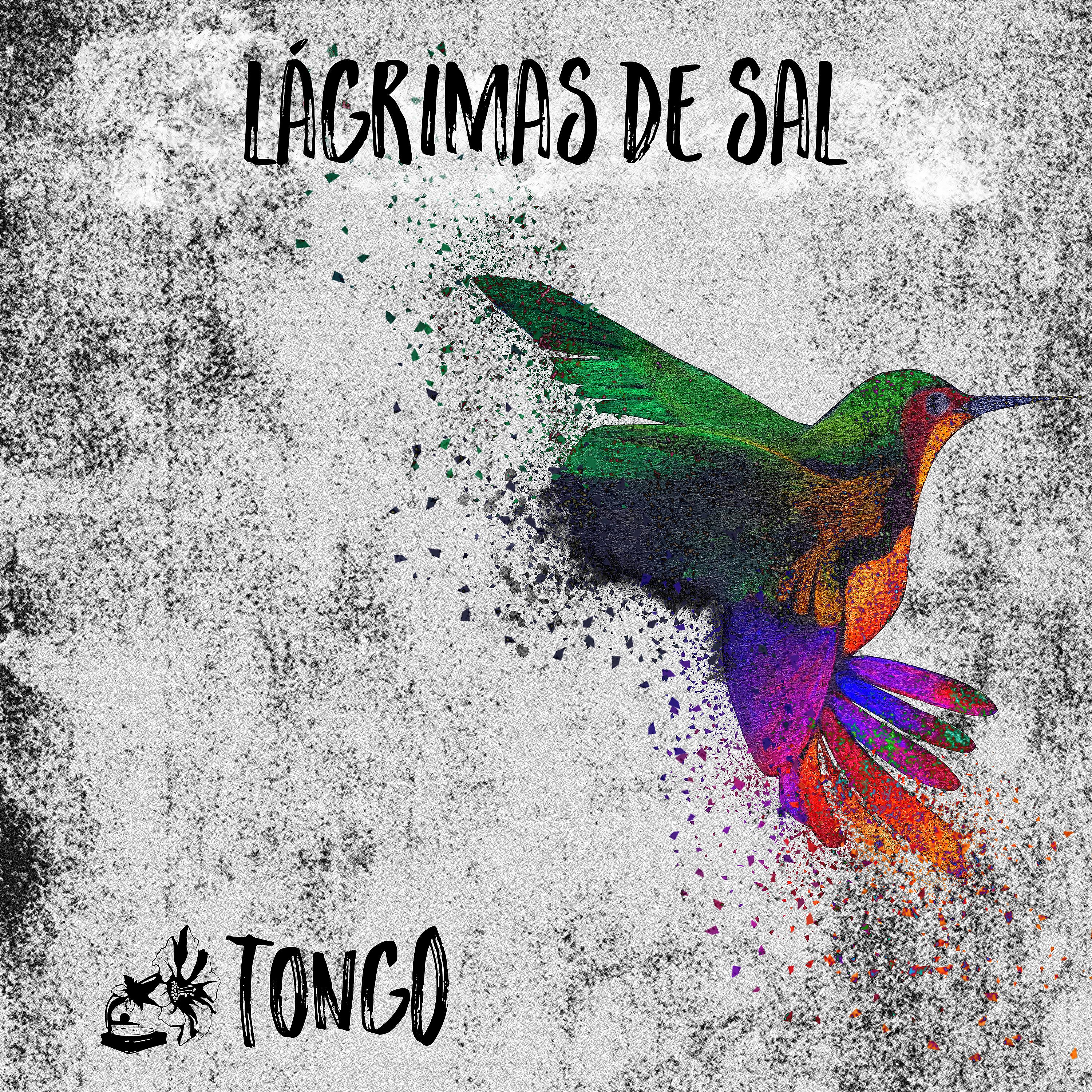 Постер альбома Lágrimas de Sal