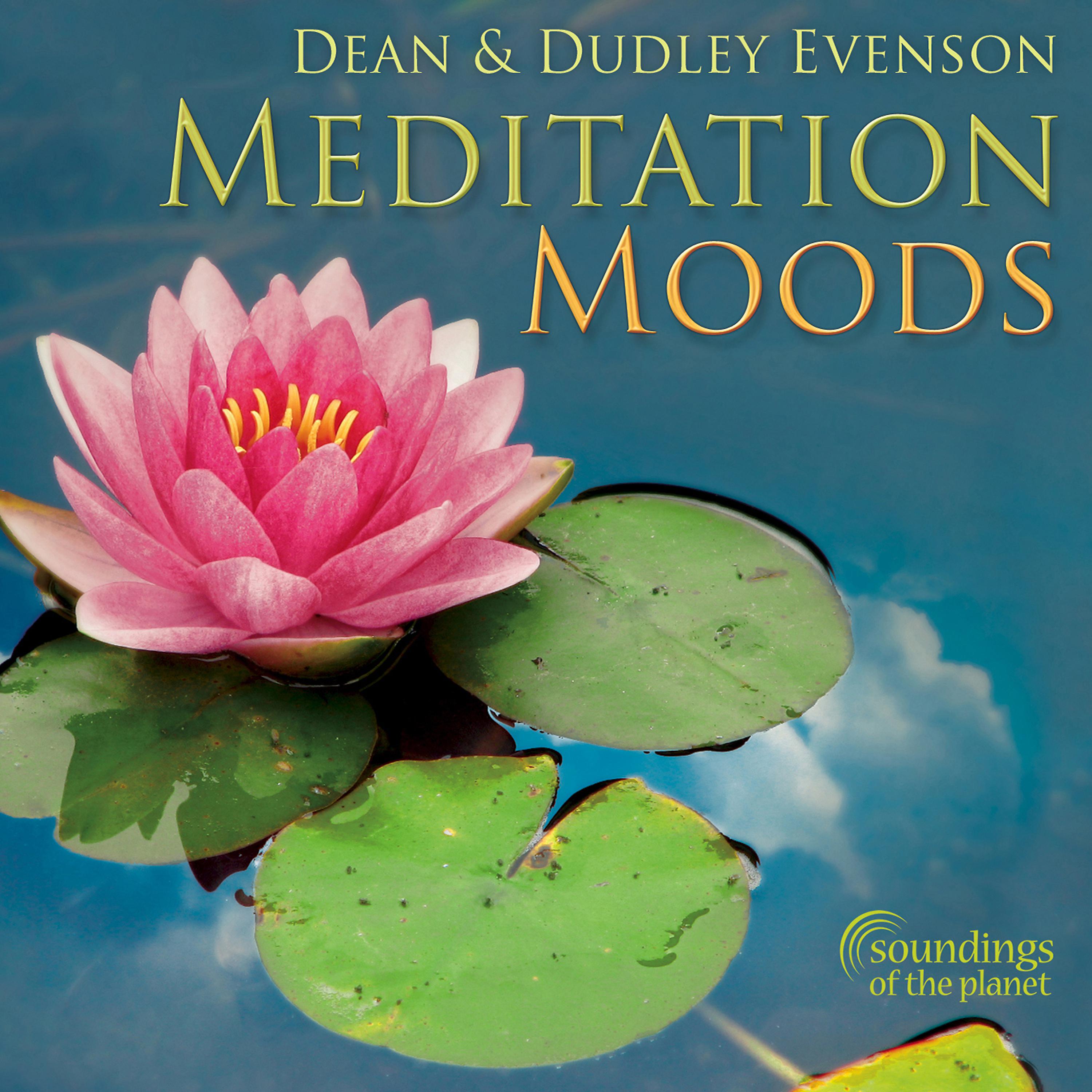 Постер альбома Meditation Moods