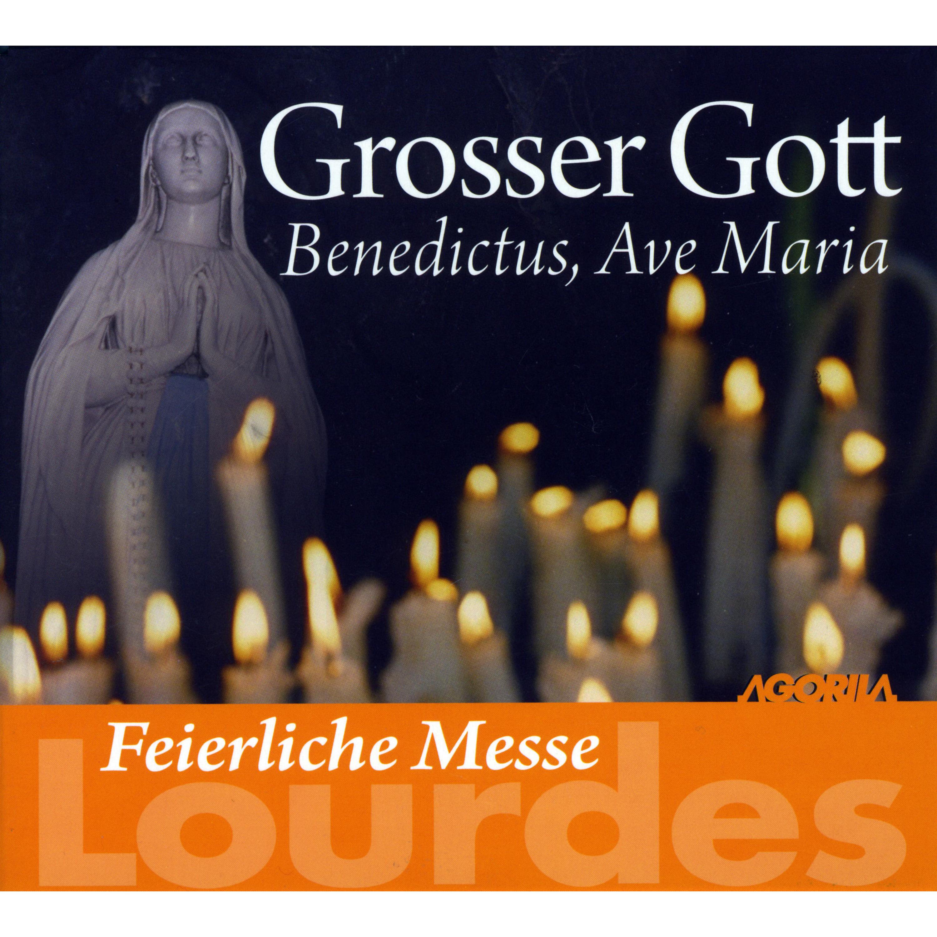 Постер альбома Feierliche Messe Lourdes - Grosser Gott: Benedictus, Ave Maria