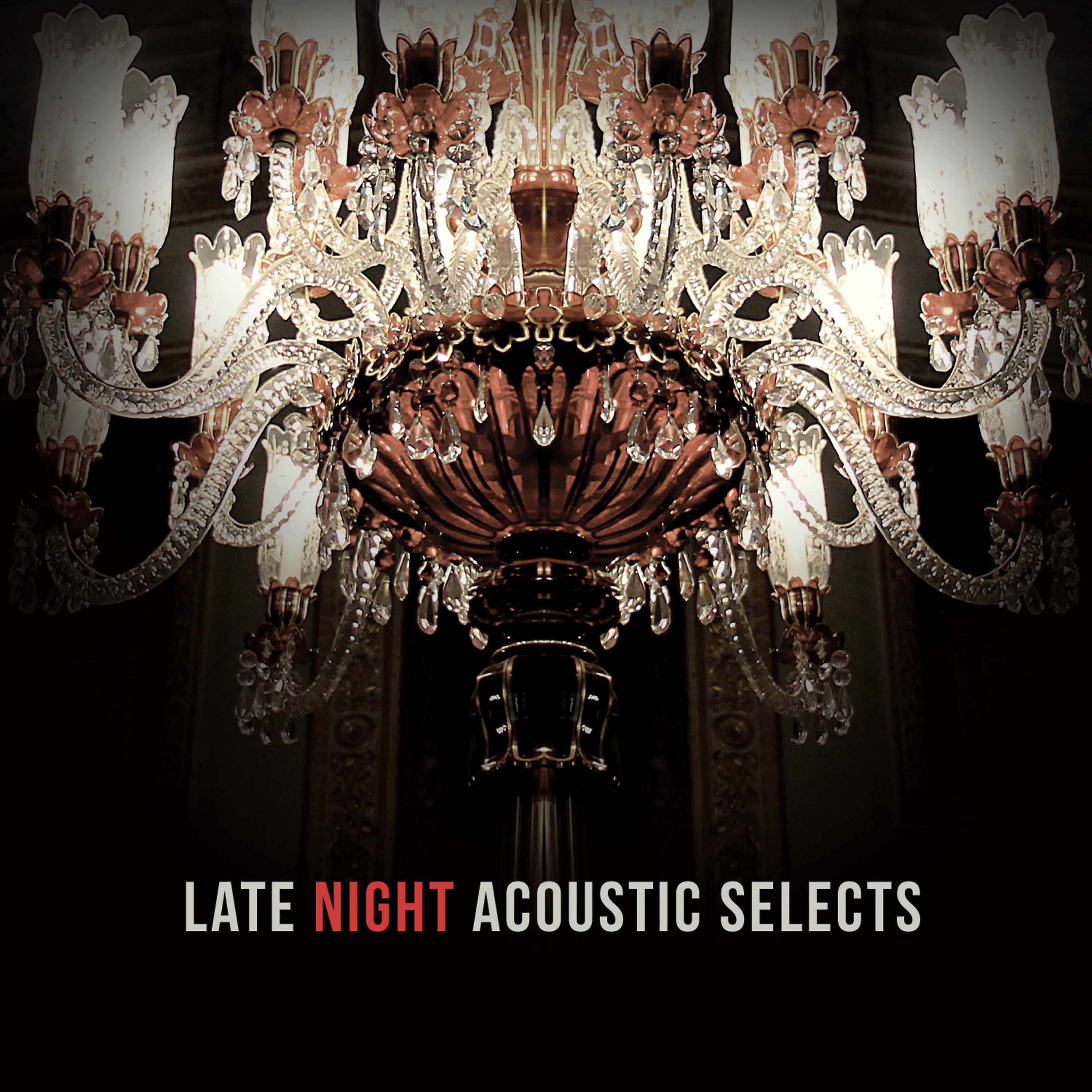 Постер альбома Late Night Acoustic Selects