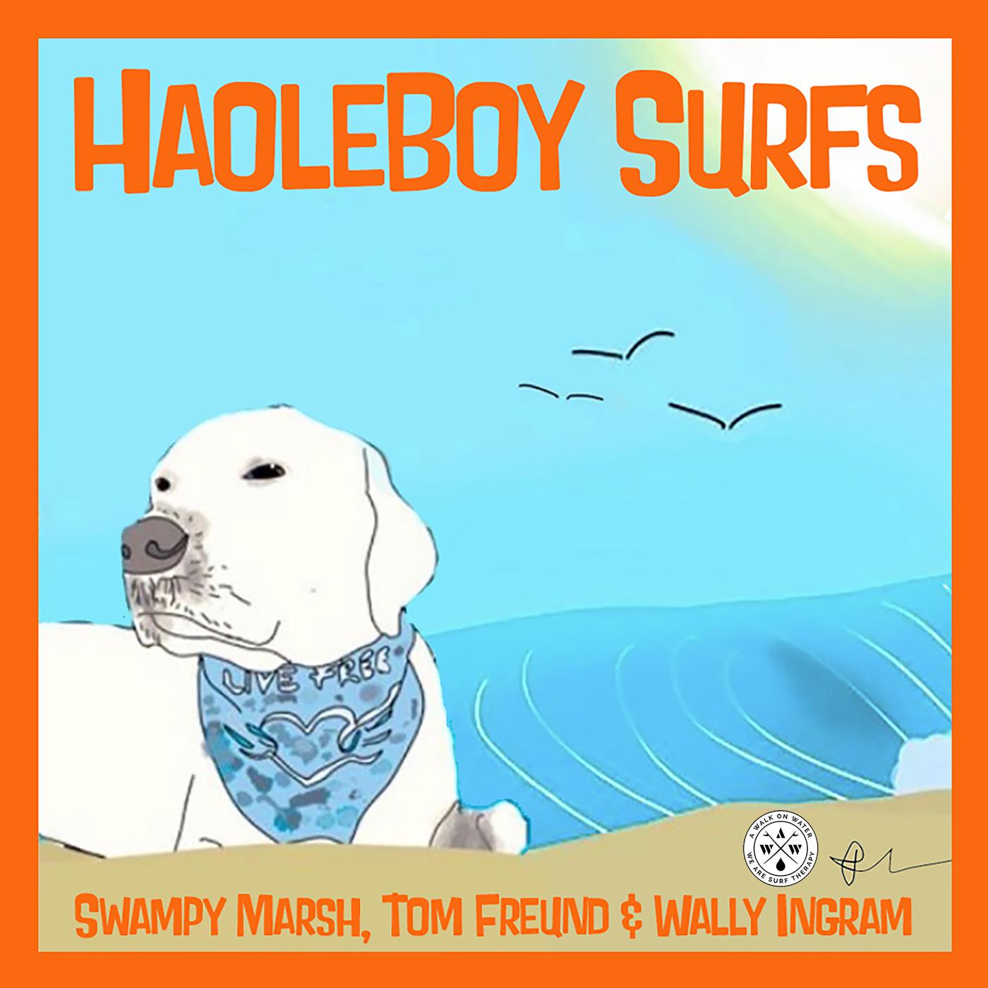 Постер альбома HaoleBoy Surfs