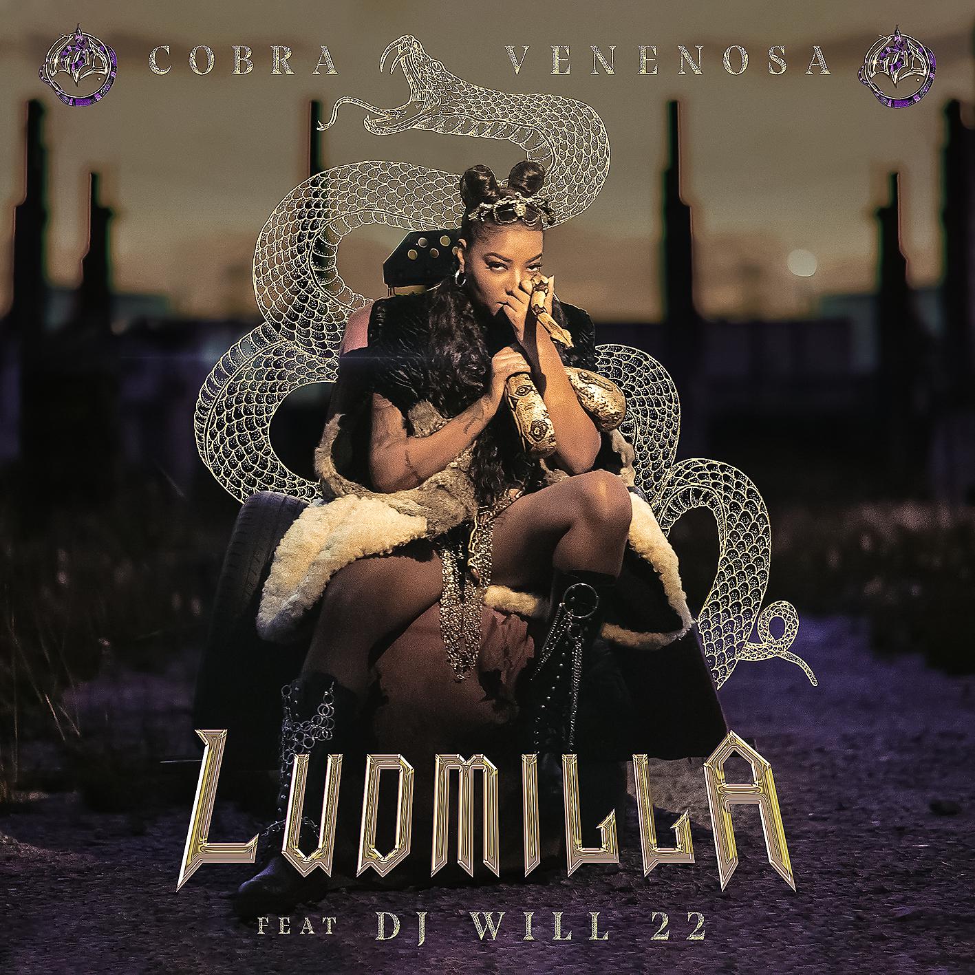Постер альбома Cobra Venenosa (feat. DJ Will22)