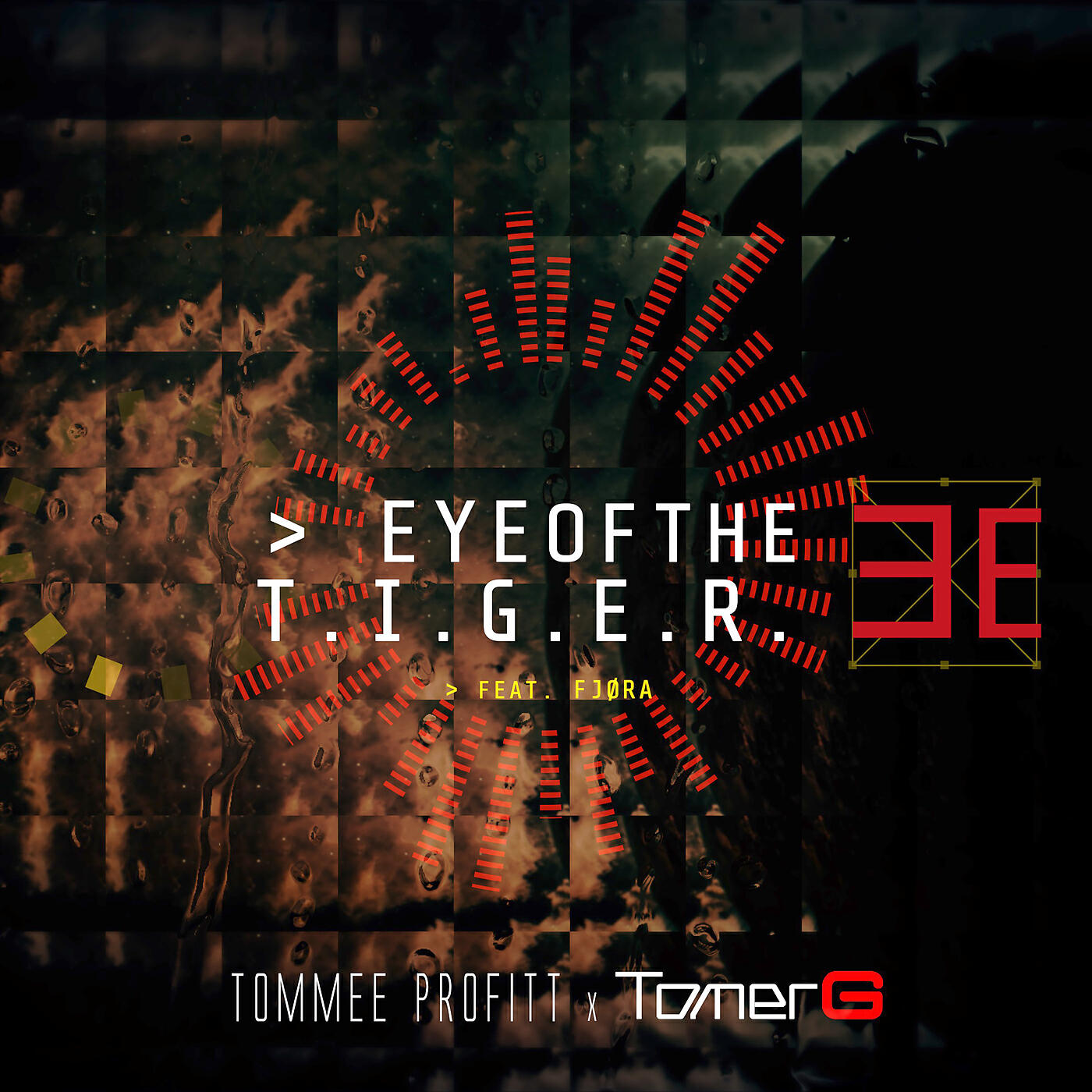 Tommee Profitt - Eye Of The Tiger (TOMER G & MARKO Dance Version)