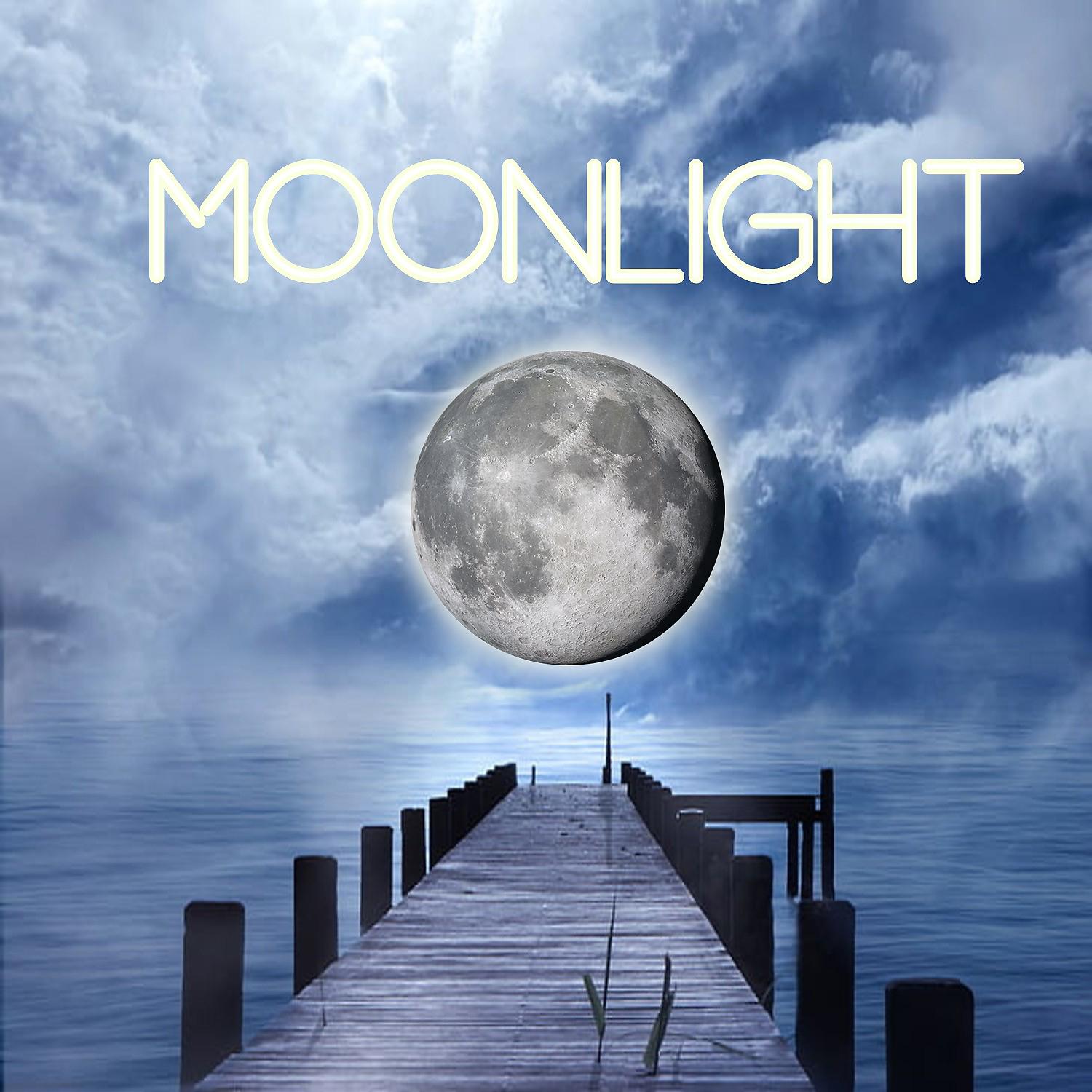 Постер альбома Moonlight (feat. Trixie Fender)