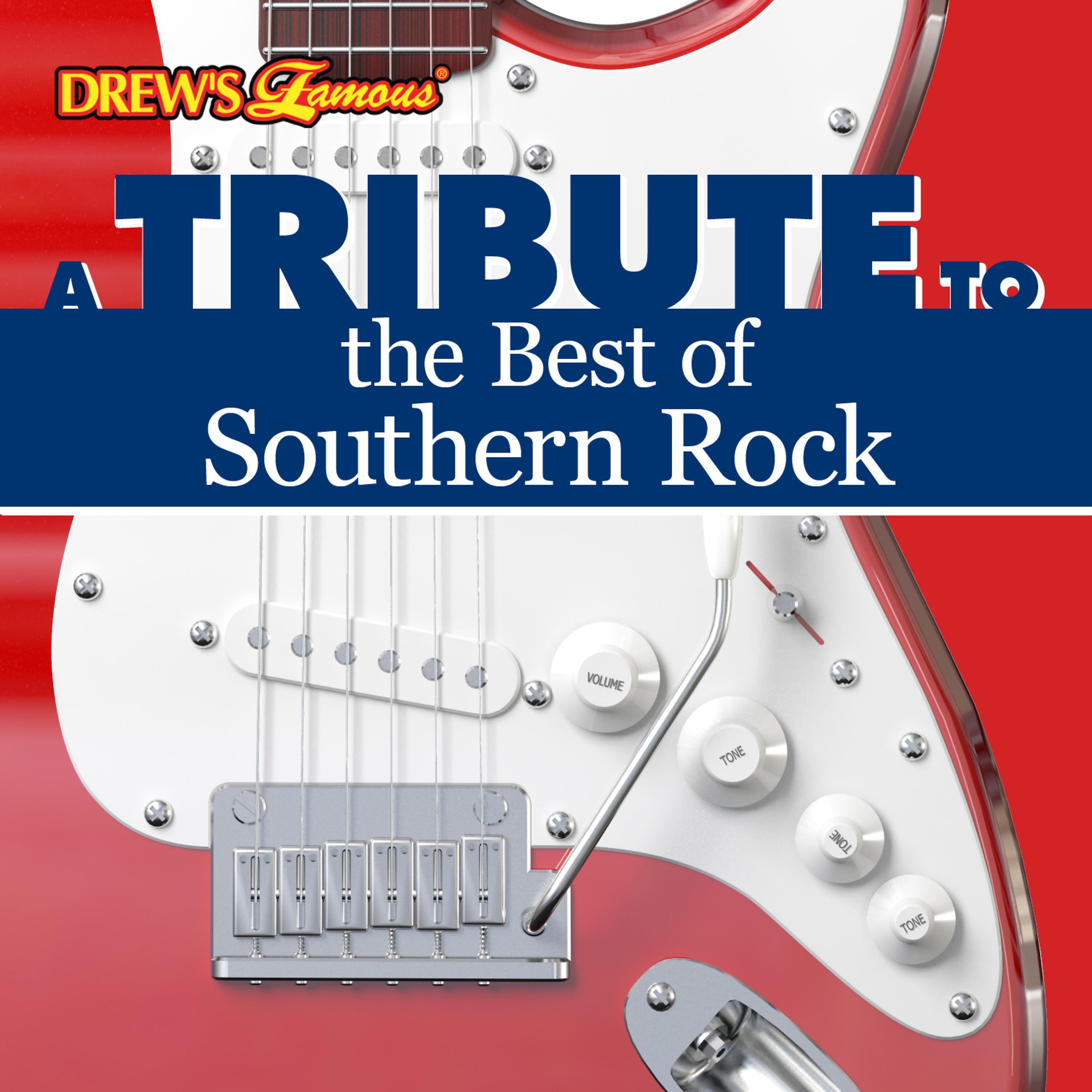 Постер альбома A Tribute to the Best of Southern Rock