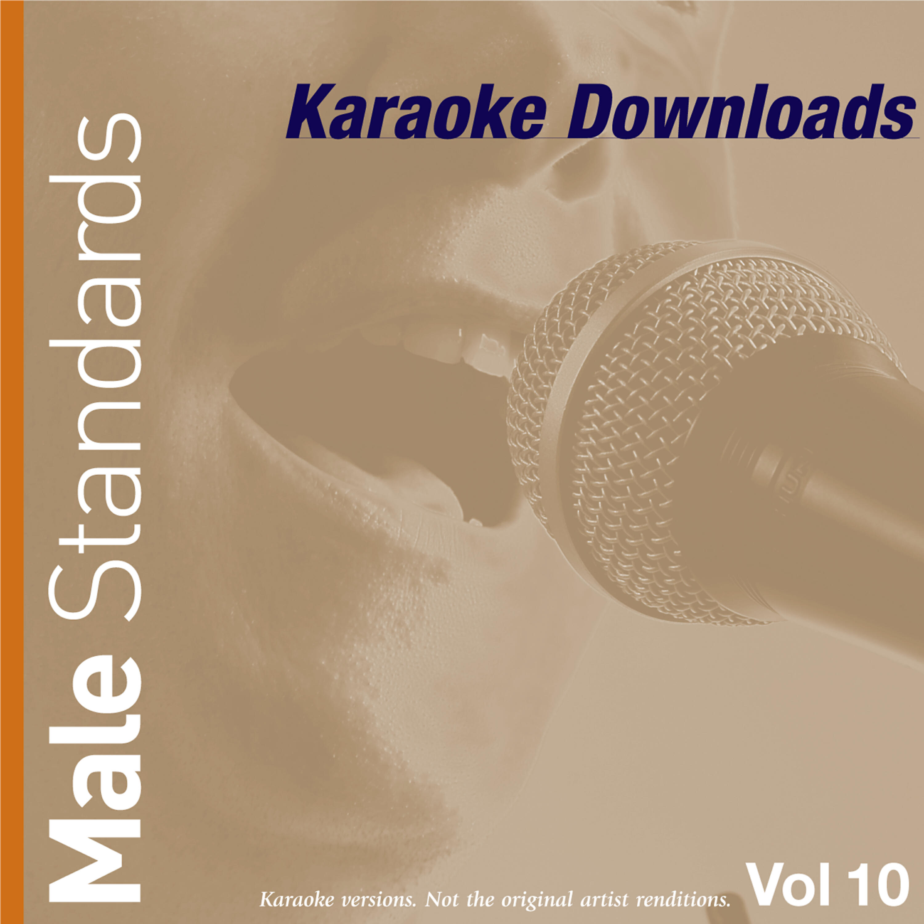 Ameritz - You Raise Me Up (In The Style Of Russell Watson)