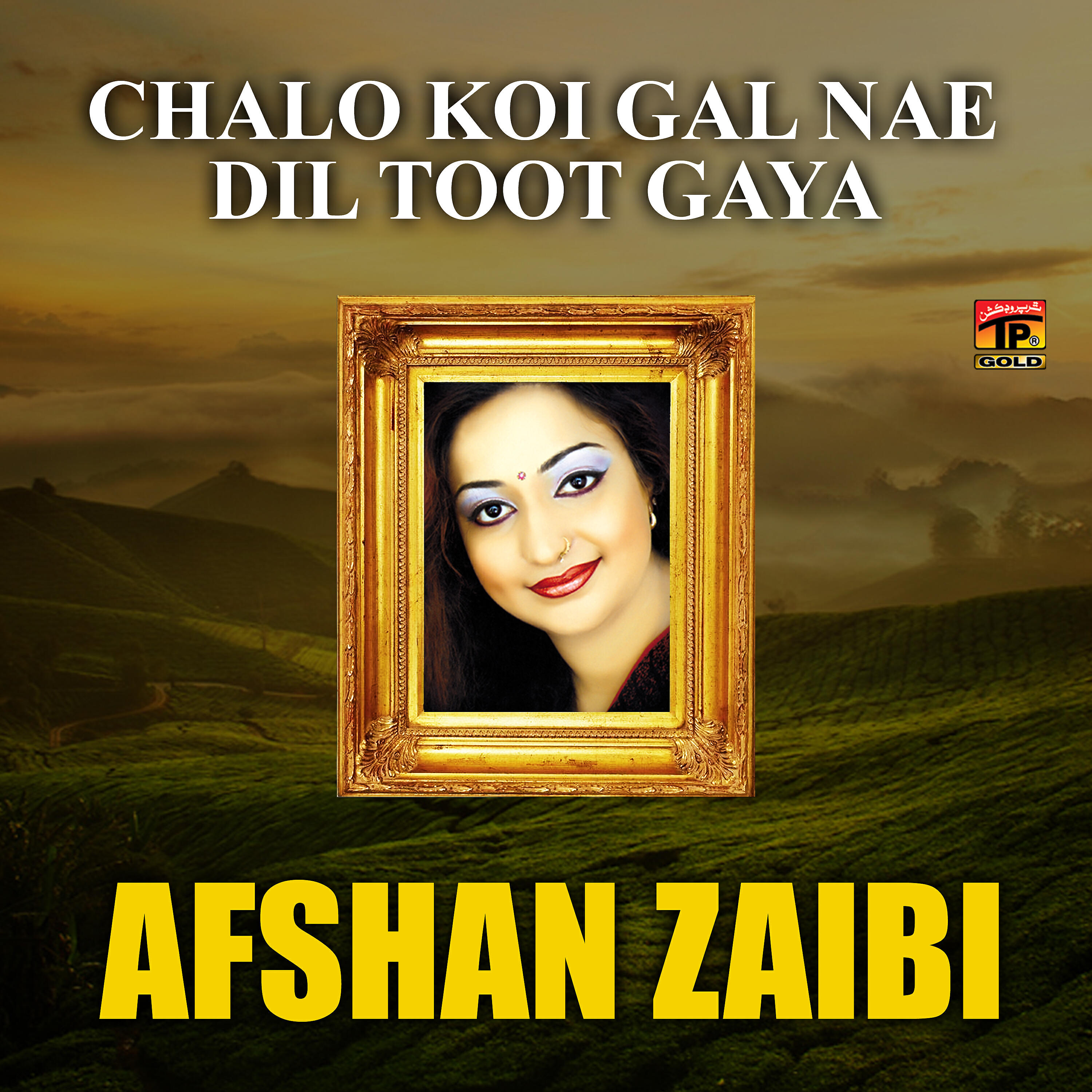 Afshan Zaibi - Chalo Koi Gal Nai