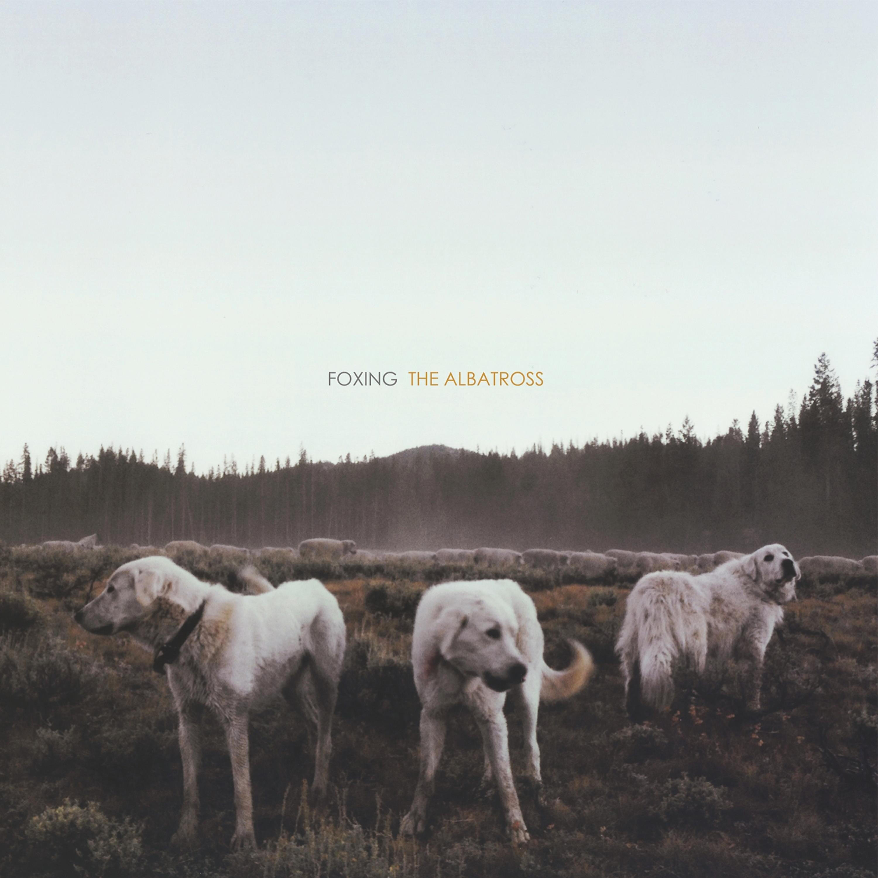Foxing - Den Mother
