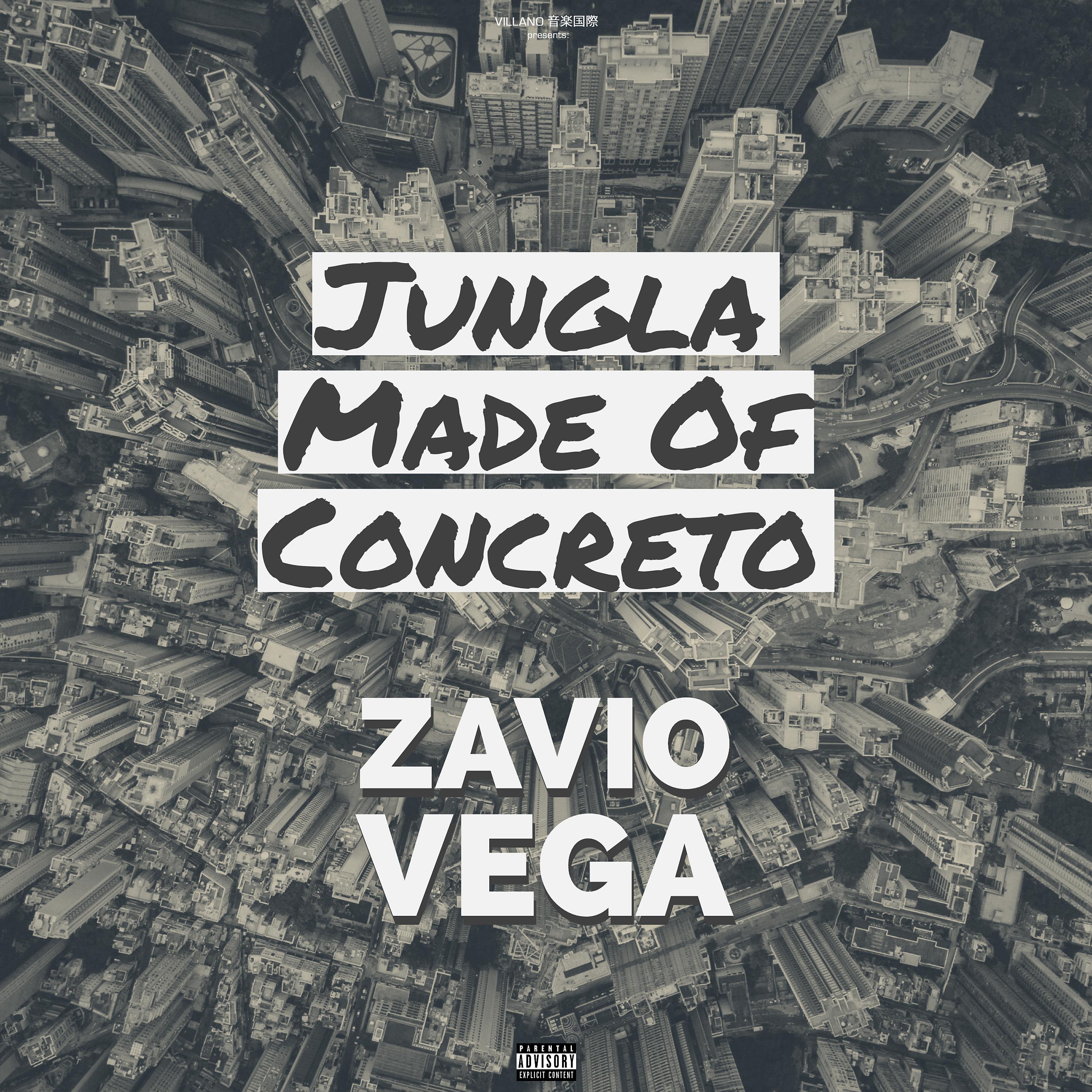 Постер альбома Jungla Made Of Concreto