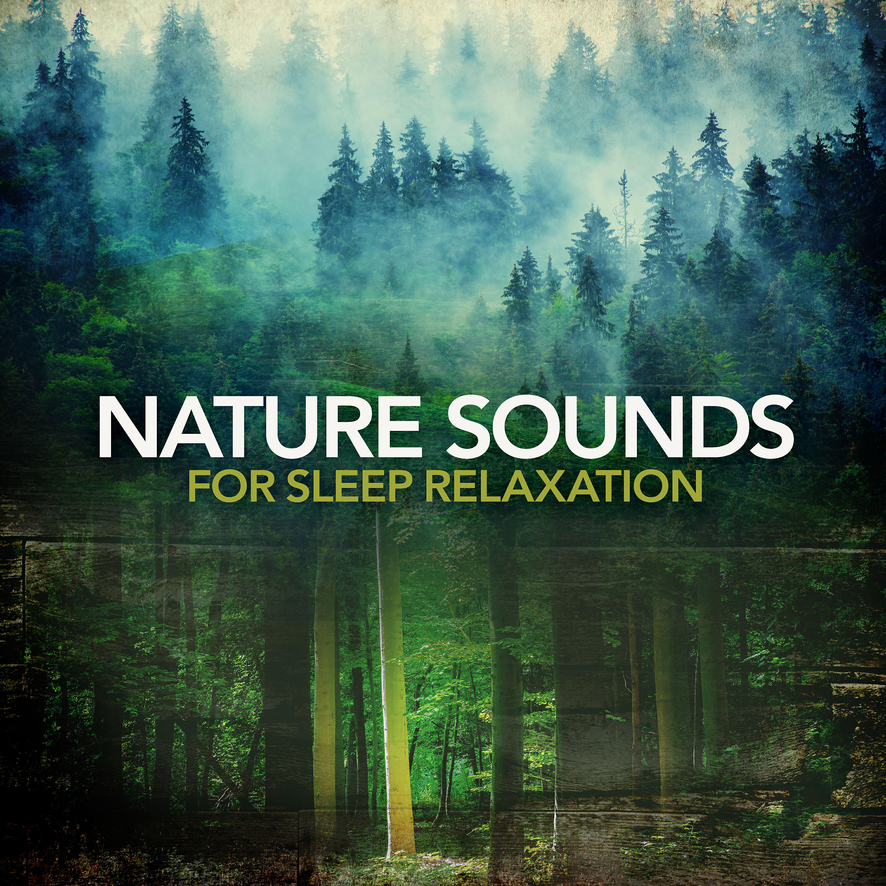 Bjorn Lynne - Birds in Light Forest Daytime