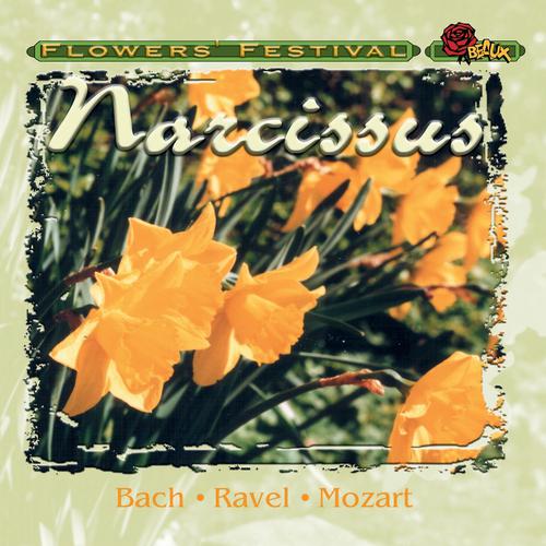 Постер альбома Narcissus