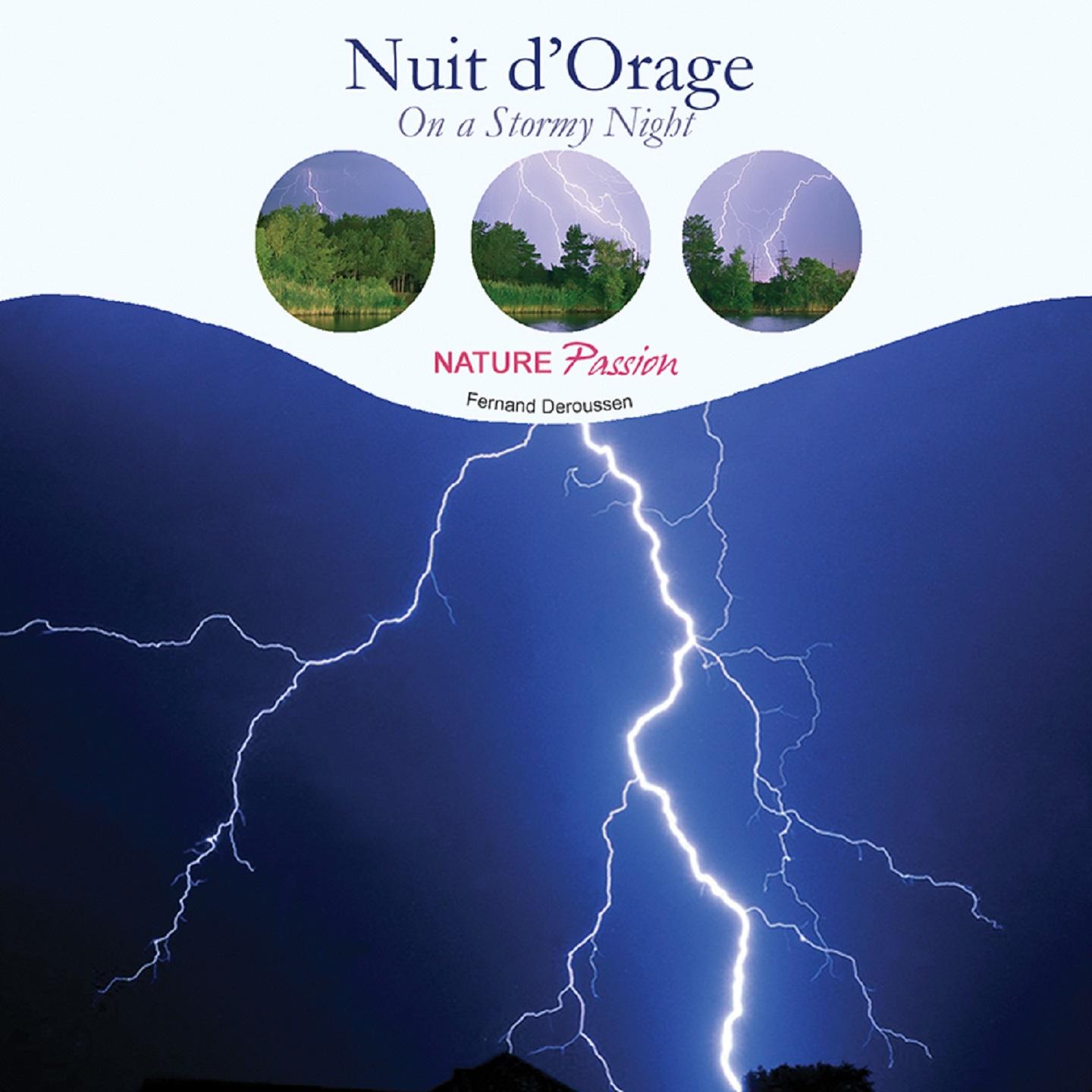 Постер альбома Nuit d'orage