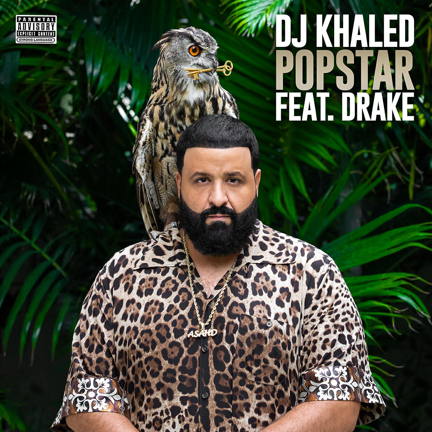 DJ Khaled - POPSTAR