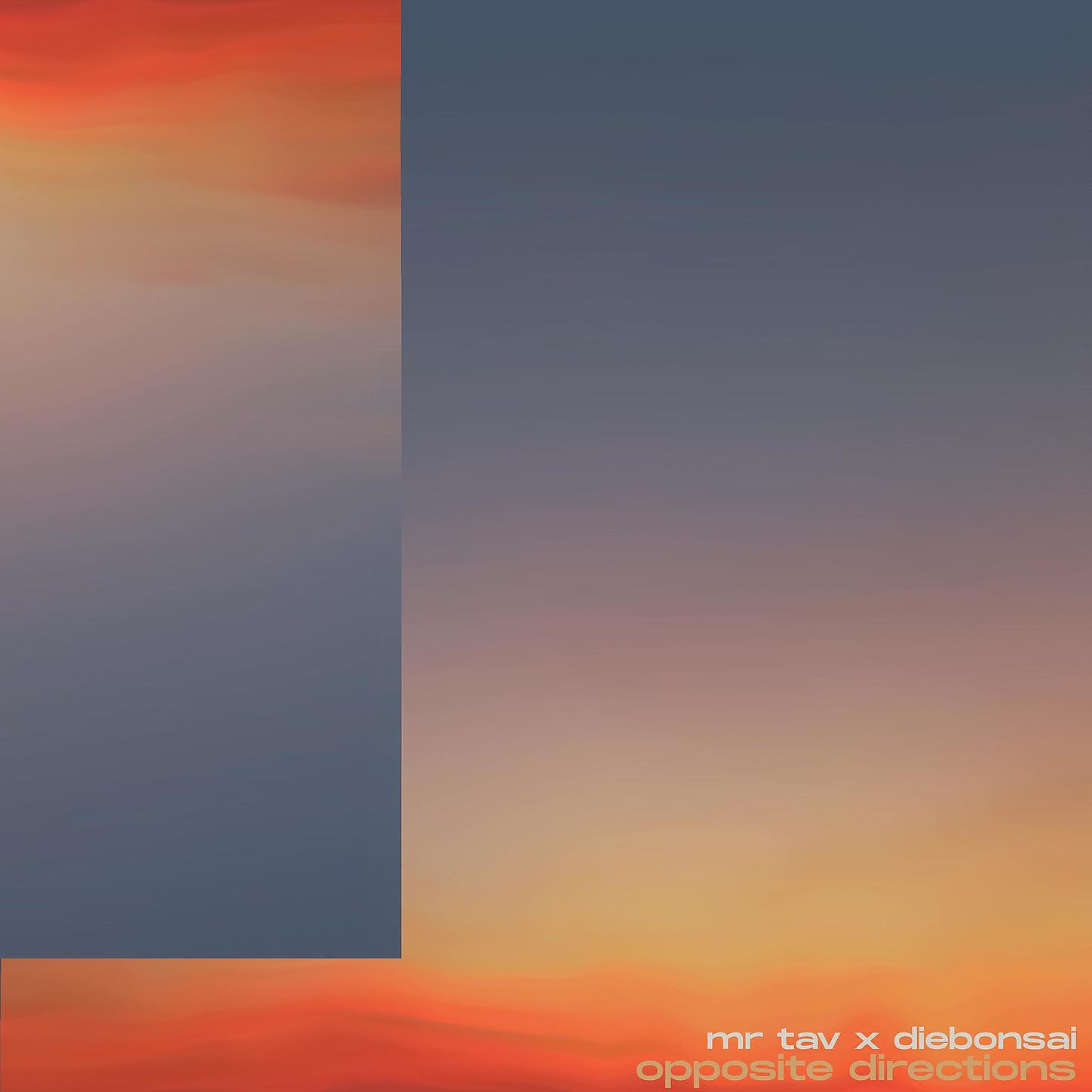 Mr Tav - Opposite Direction