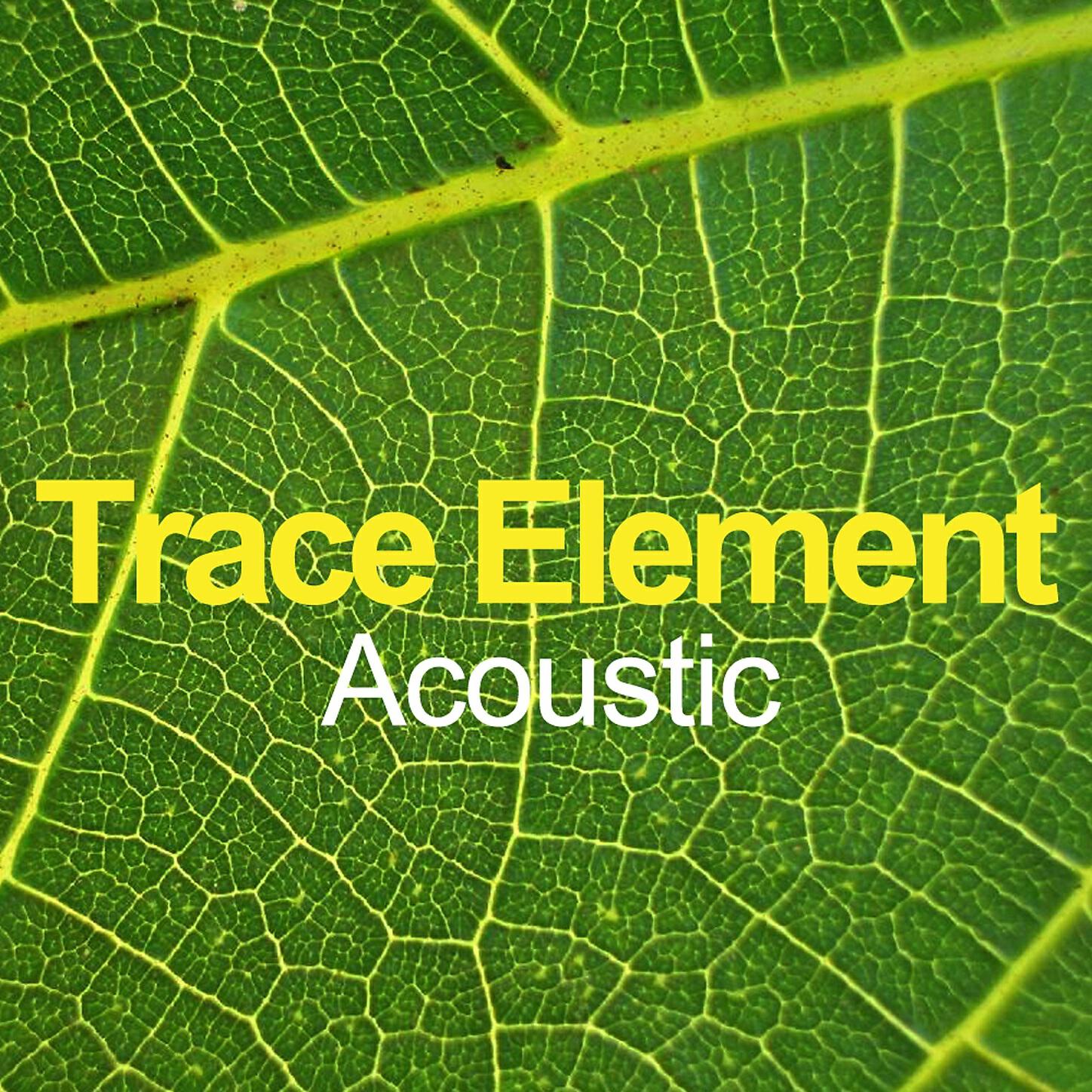 Trace Element - Drowning