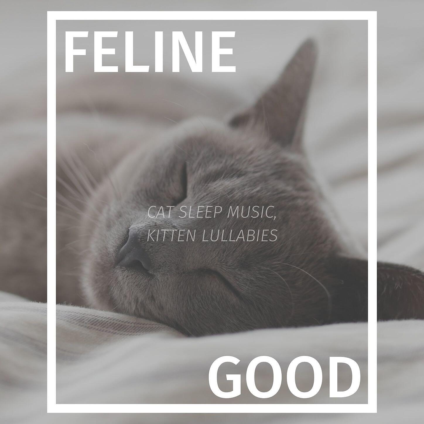 Frank Piano, Direction Relax - Feline Good