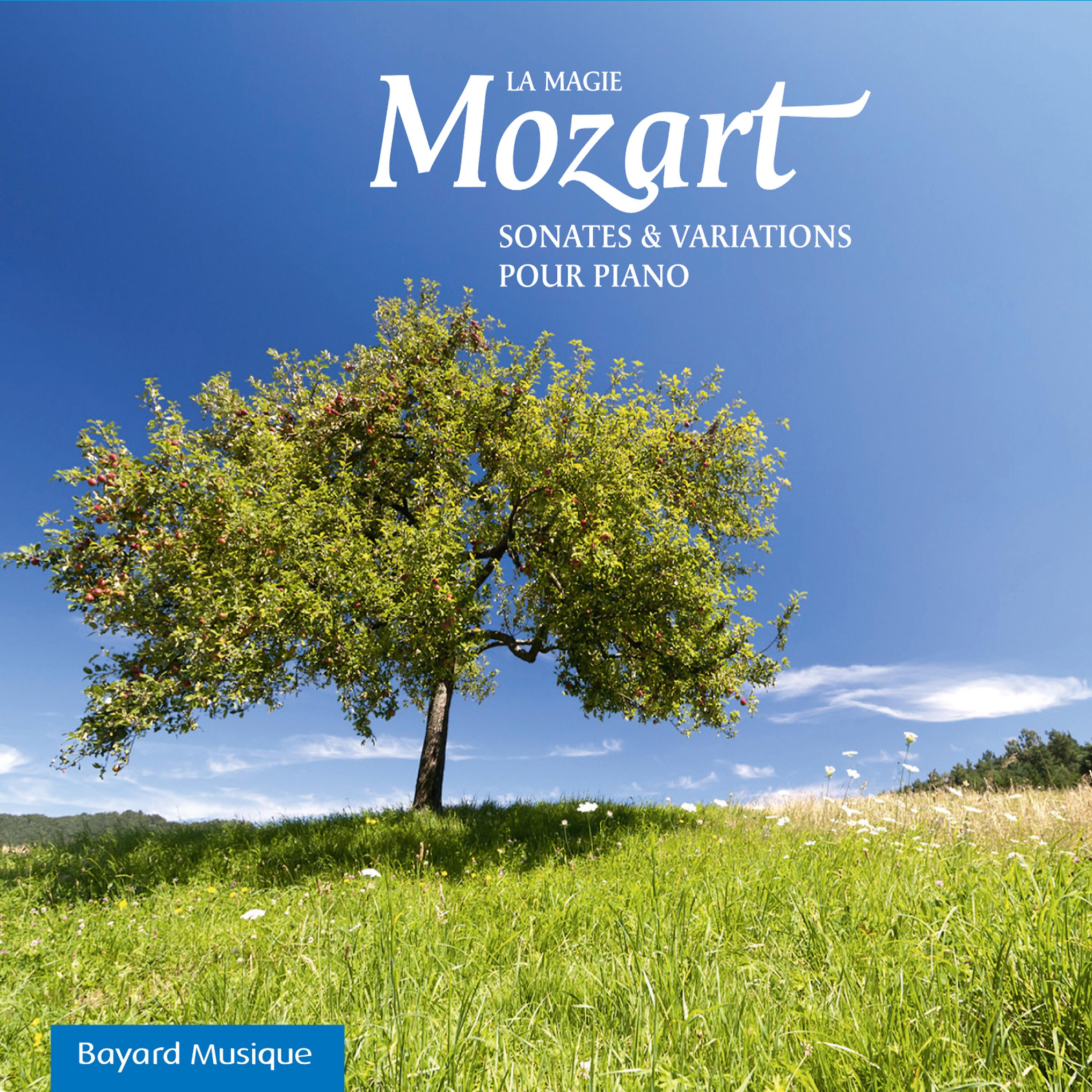 Постер альбома Mozart: La magie, Sonates & Variations pour piano
