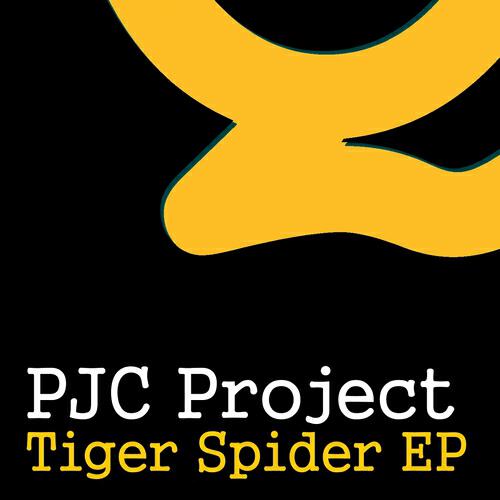 PJC Project - Gonna (Original Mix)