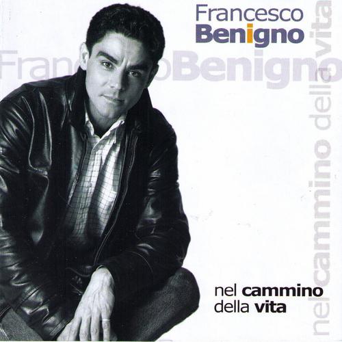 Постер альбома Nel Cammino Della Vita