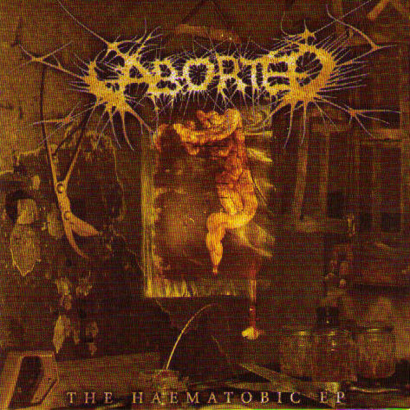 Aborted - The Sanctification Of Refornication