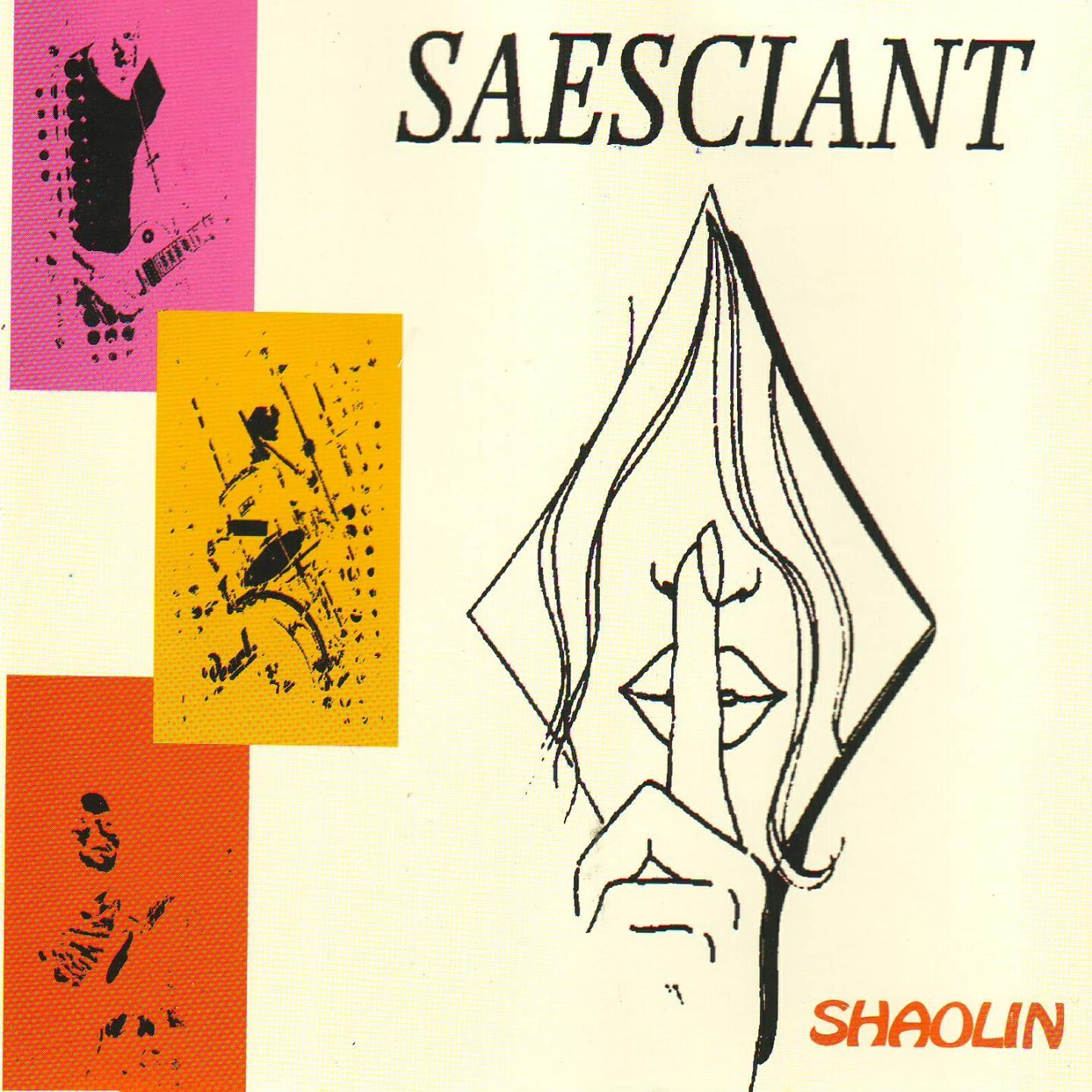 Saesciant - Shaolin (Minimal Basics Mix)