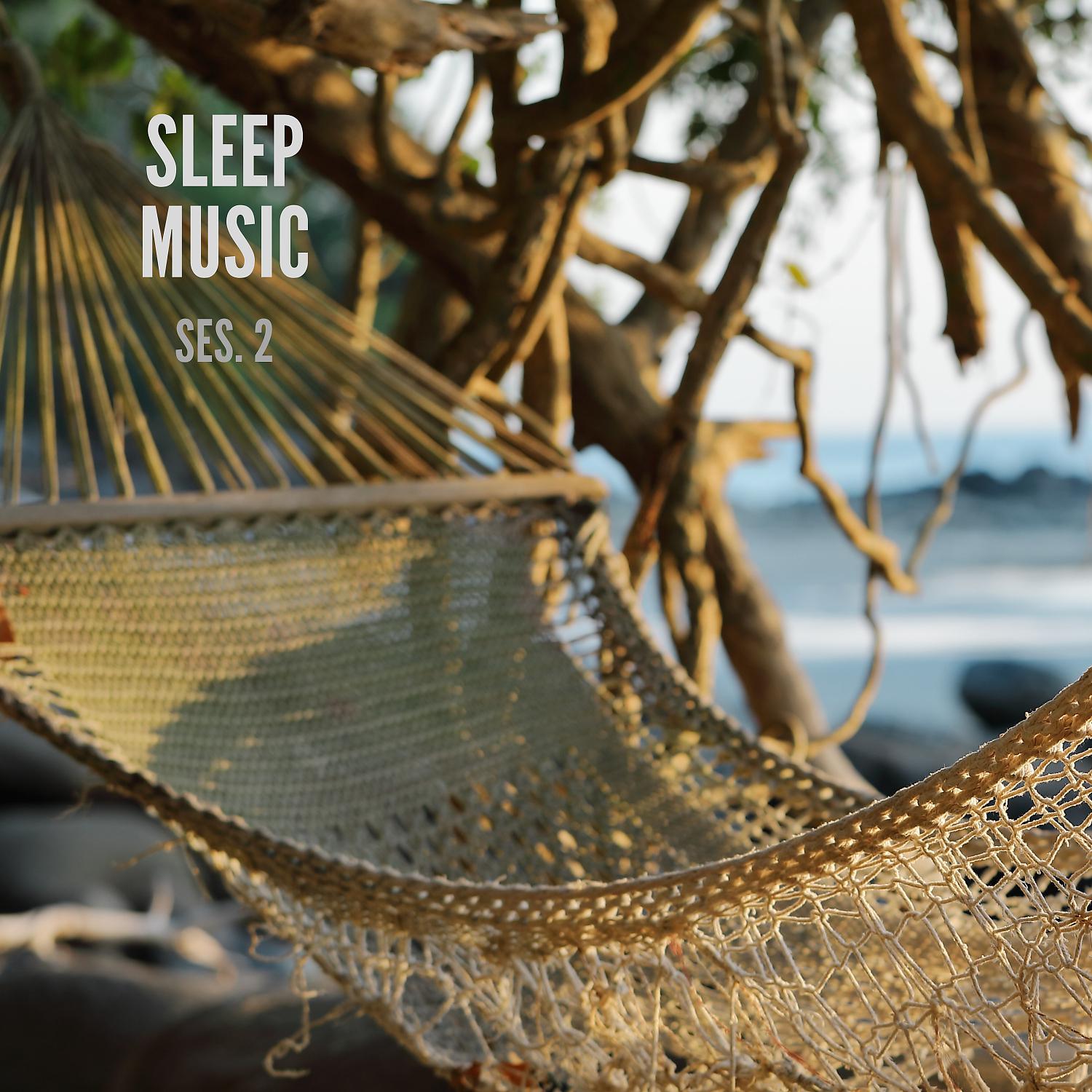 Постер альбома Sleep Music, Musica De Relajacion Para Dormir Profundamente Sesion 2