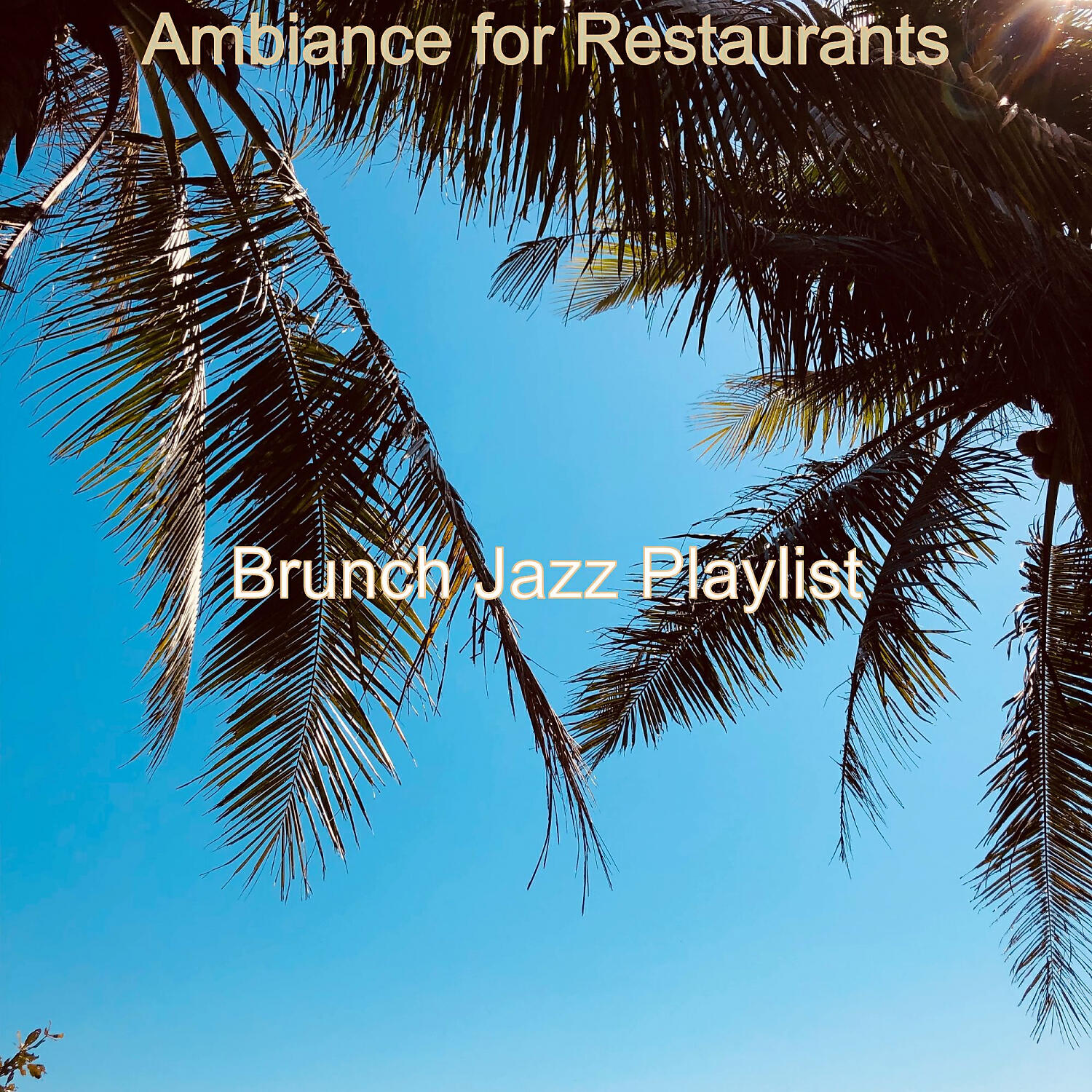 Brunch Jazz Playlist - Distinguished Soundscape for Summer Nights