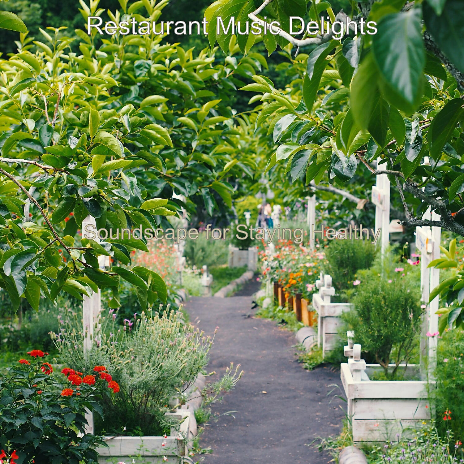 Restaurant Music Delights - Calm Atmosphere for Work from Home