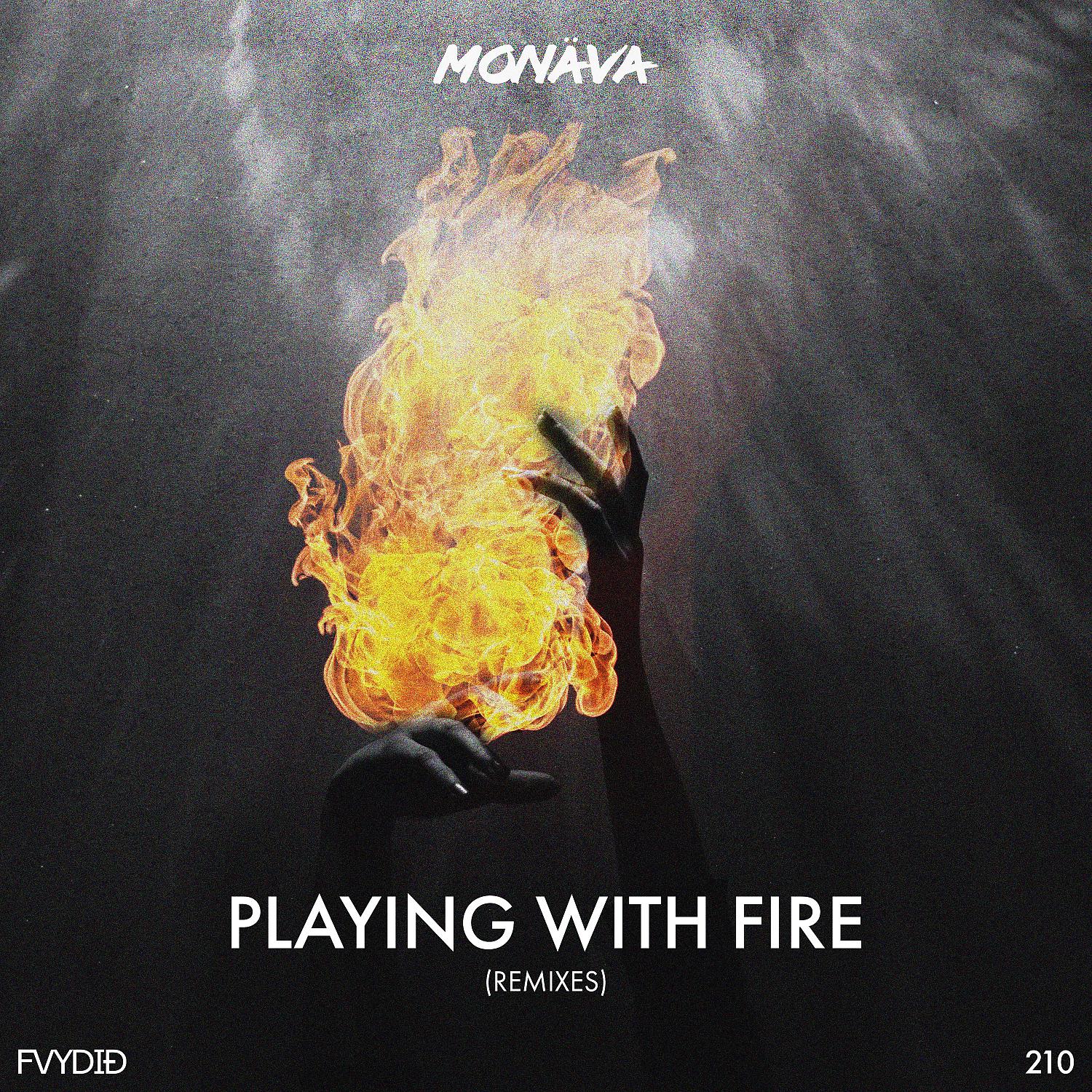 Постер альбома Playing With Fire (Remixes)