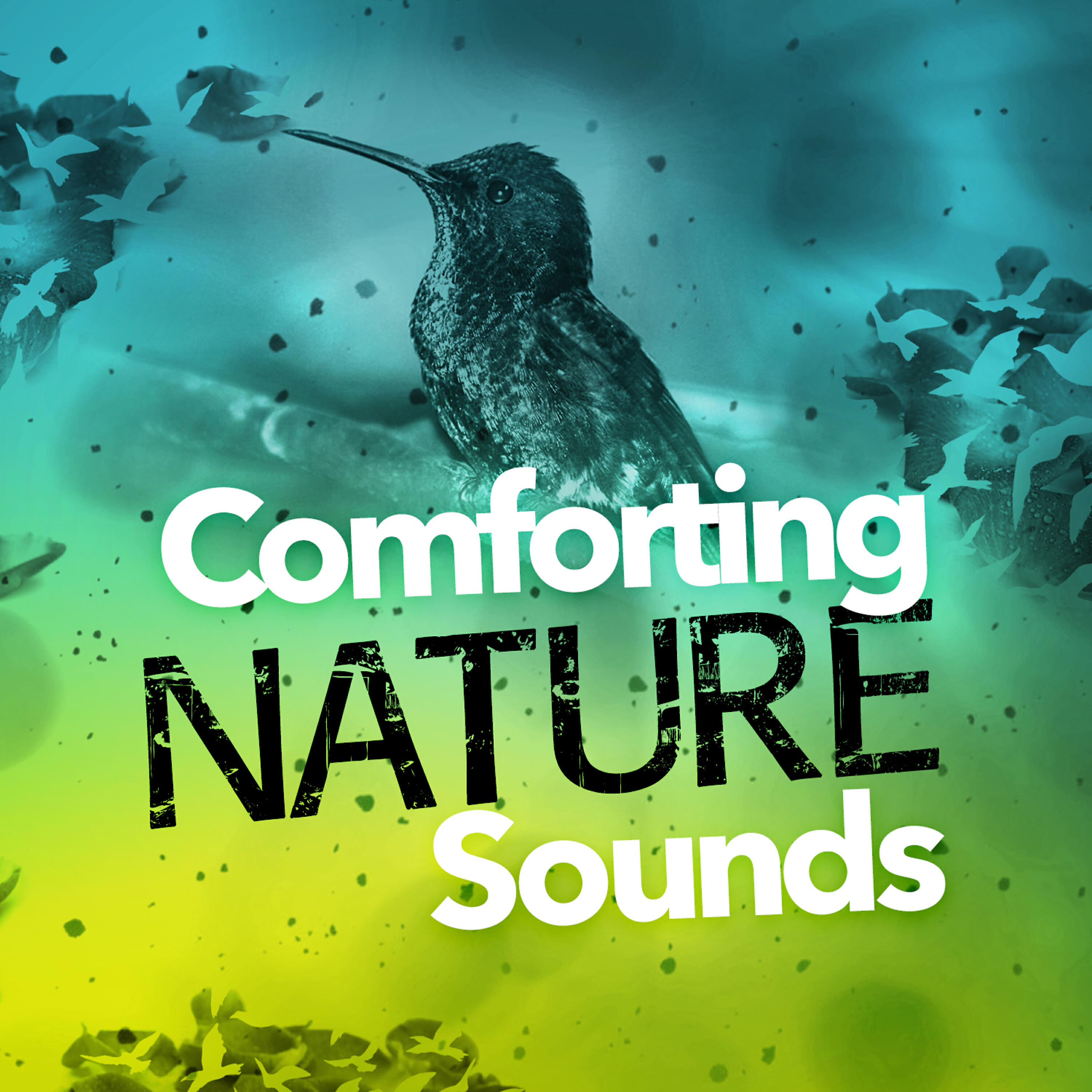 Nature Sounds 2015 - Running Waters