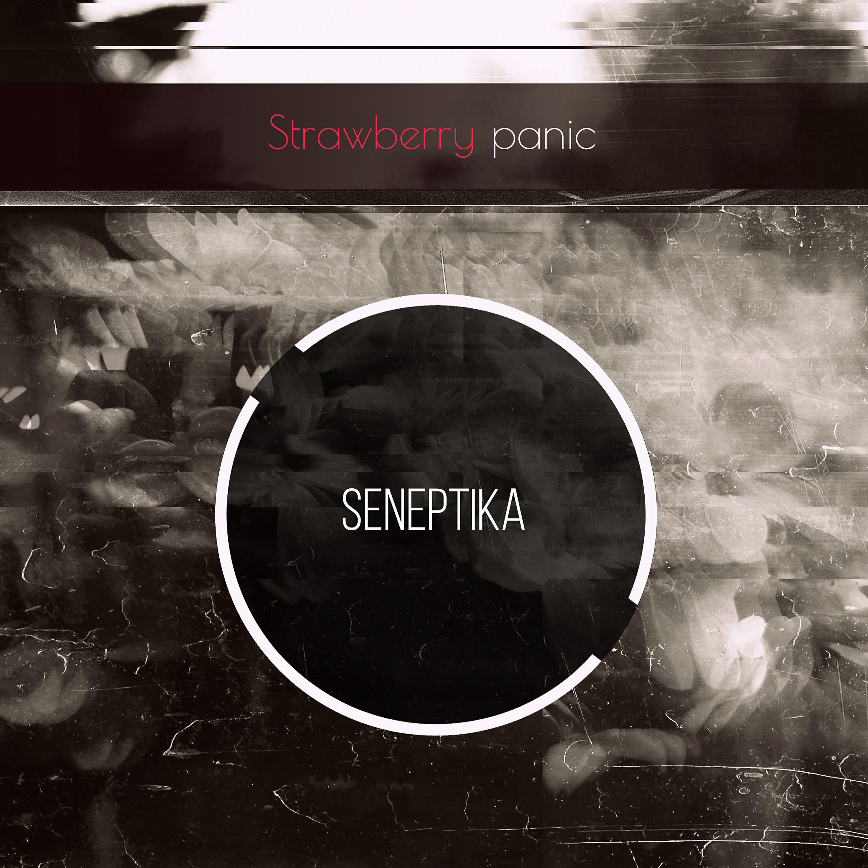 Seneptika - Tdr