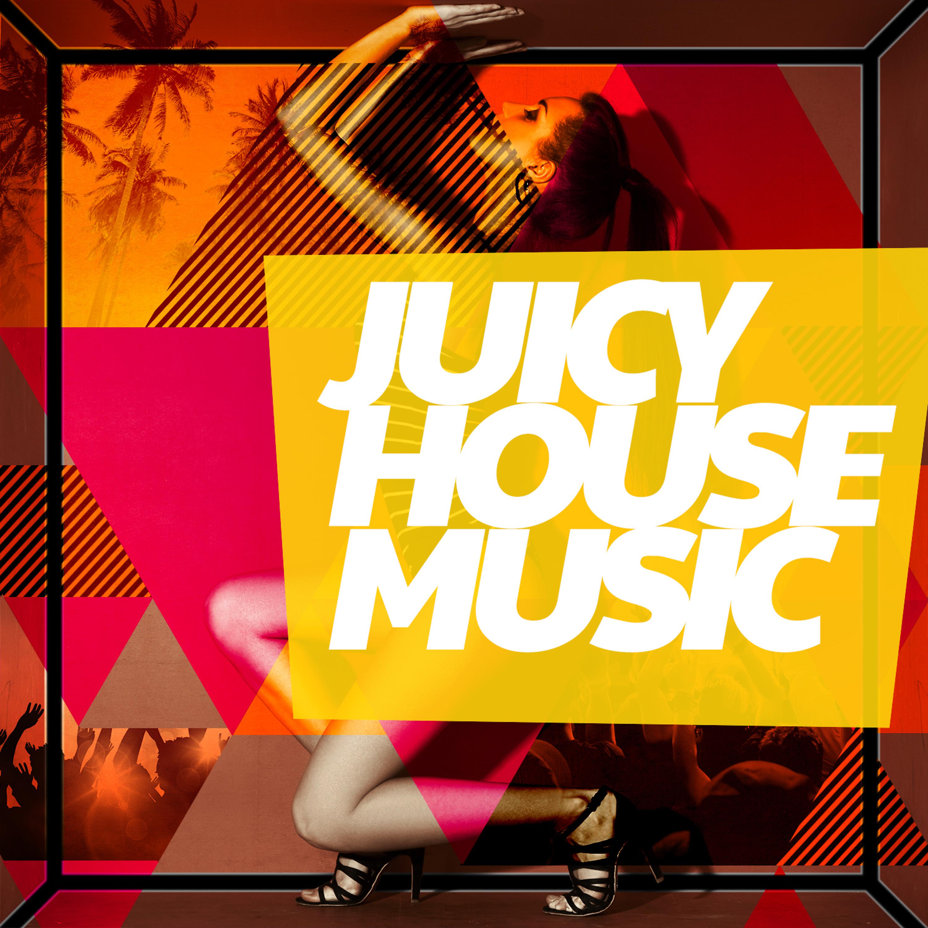 Постер альбома Juicy House Music