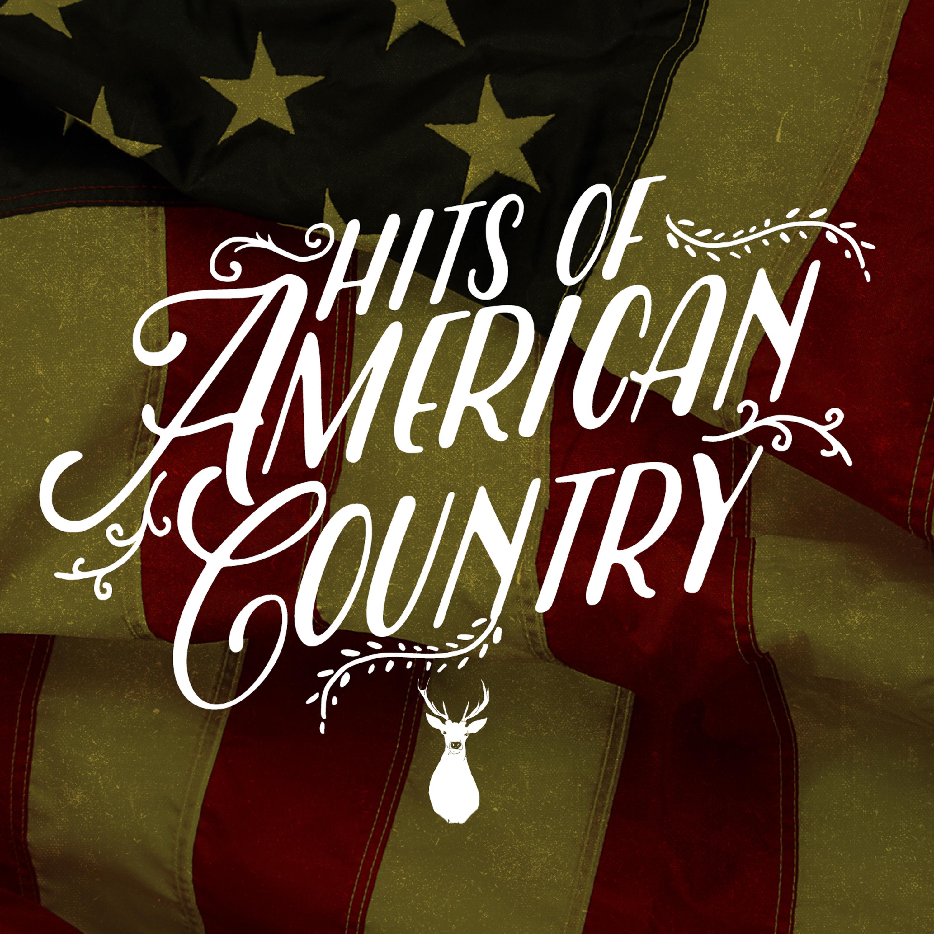 Постер альбома Hits of American Country