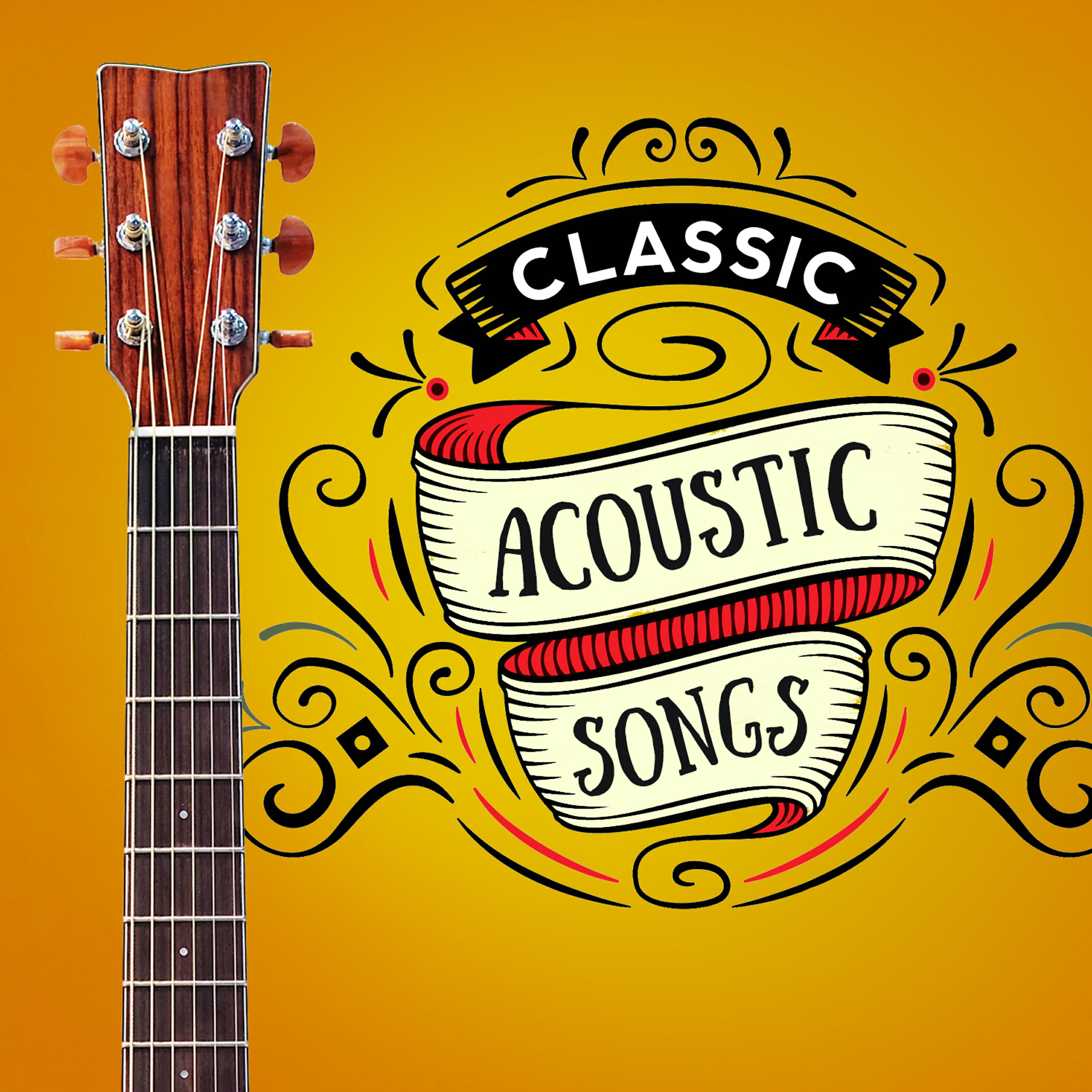 Acoustic Guitar Songs - I Wish I Was a Punk Rocker (with Flowers in My Hair)