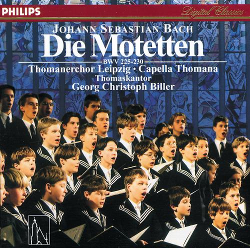 Постер альбома Johann Sebastian Bach: Die Motetten