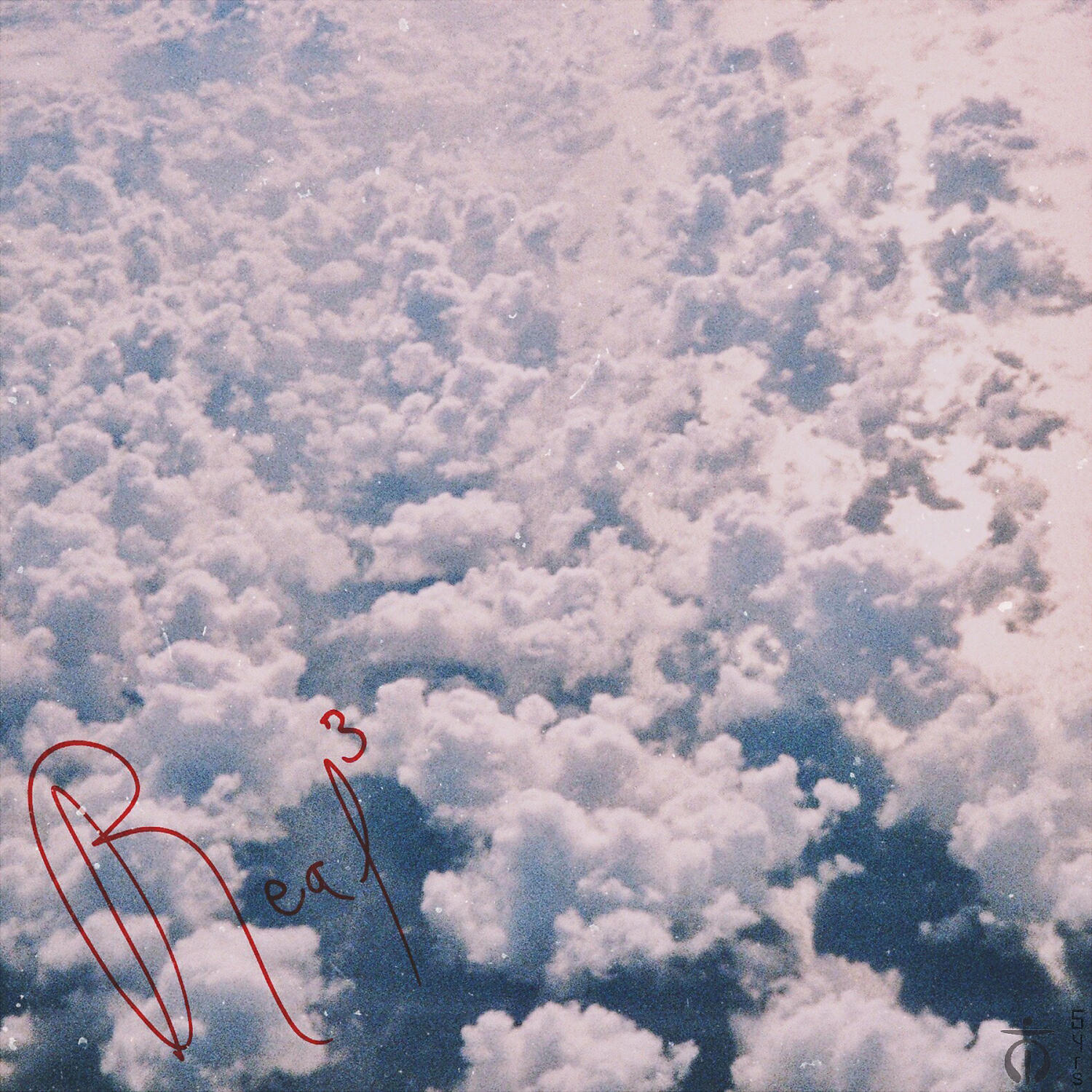 Blossom - Real Real Real