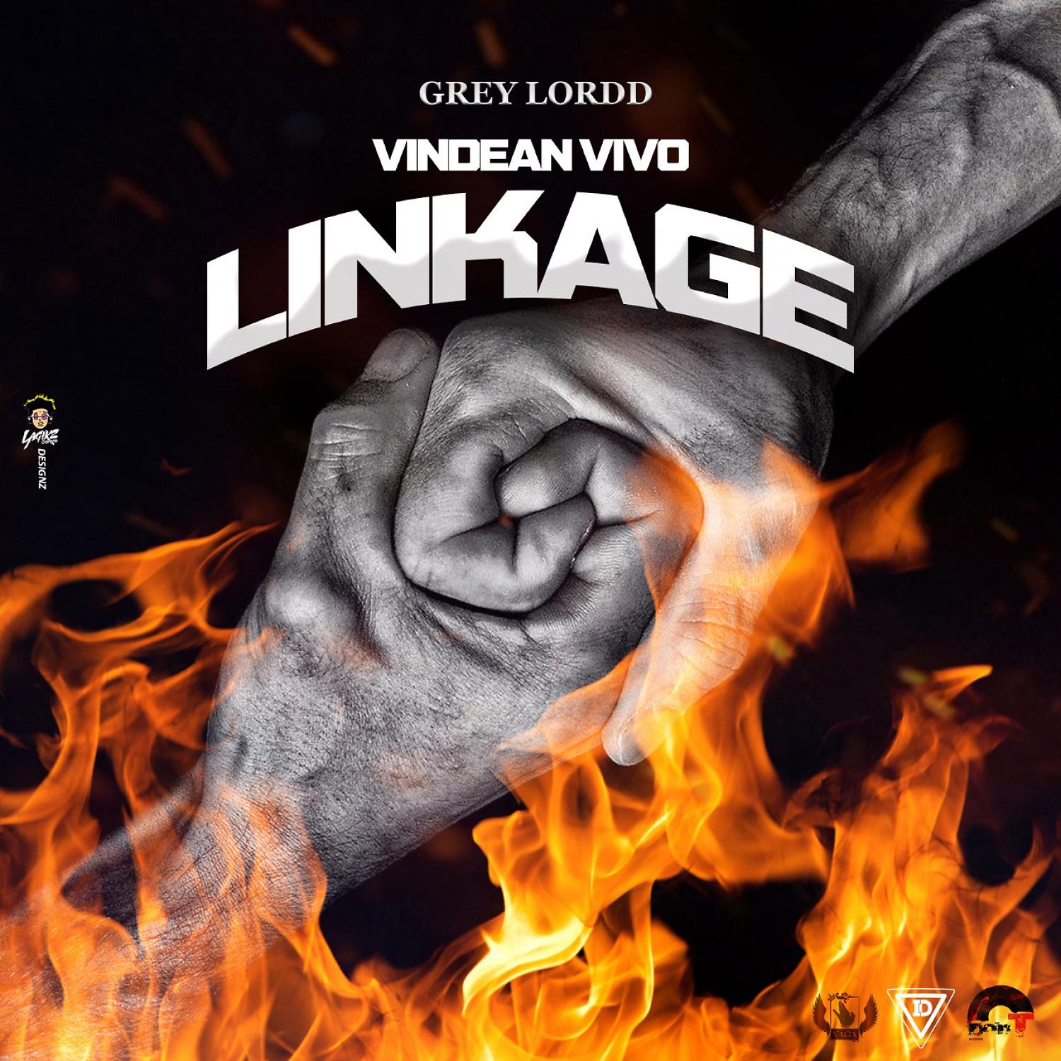 Постер альбома Linkage