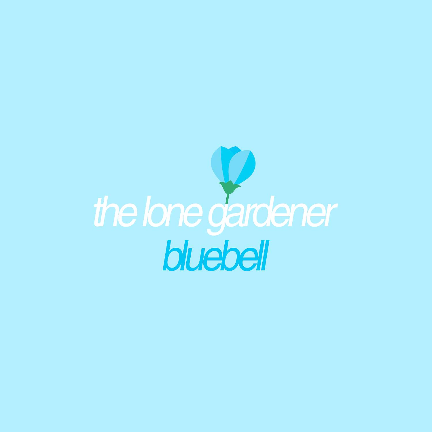 Постер альбома Bluebell