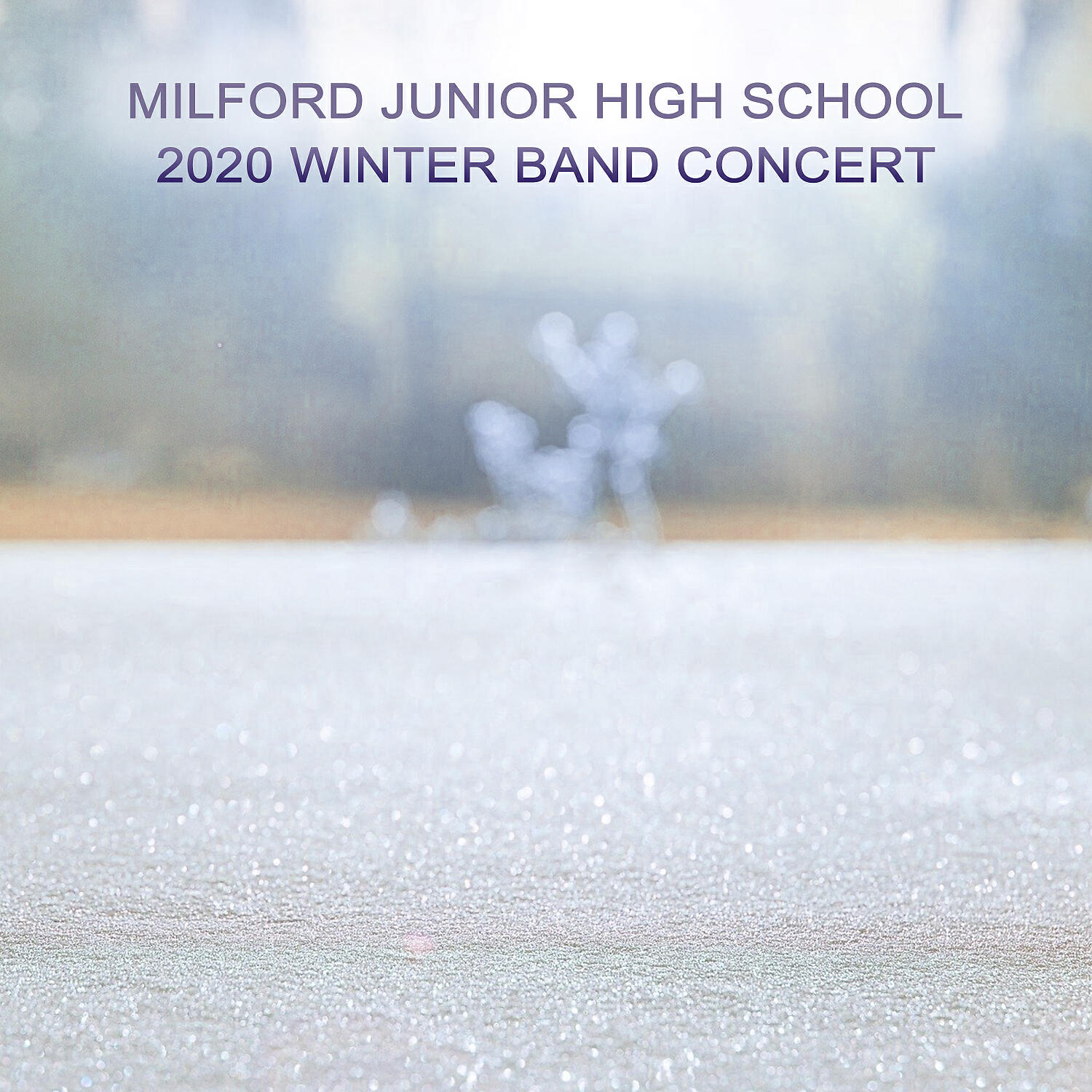 Milford Junior High School 7th Grade Band - Year of the Dragon