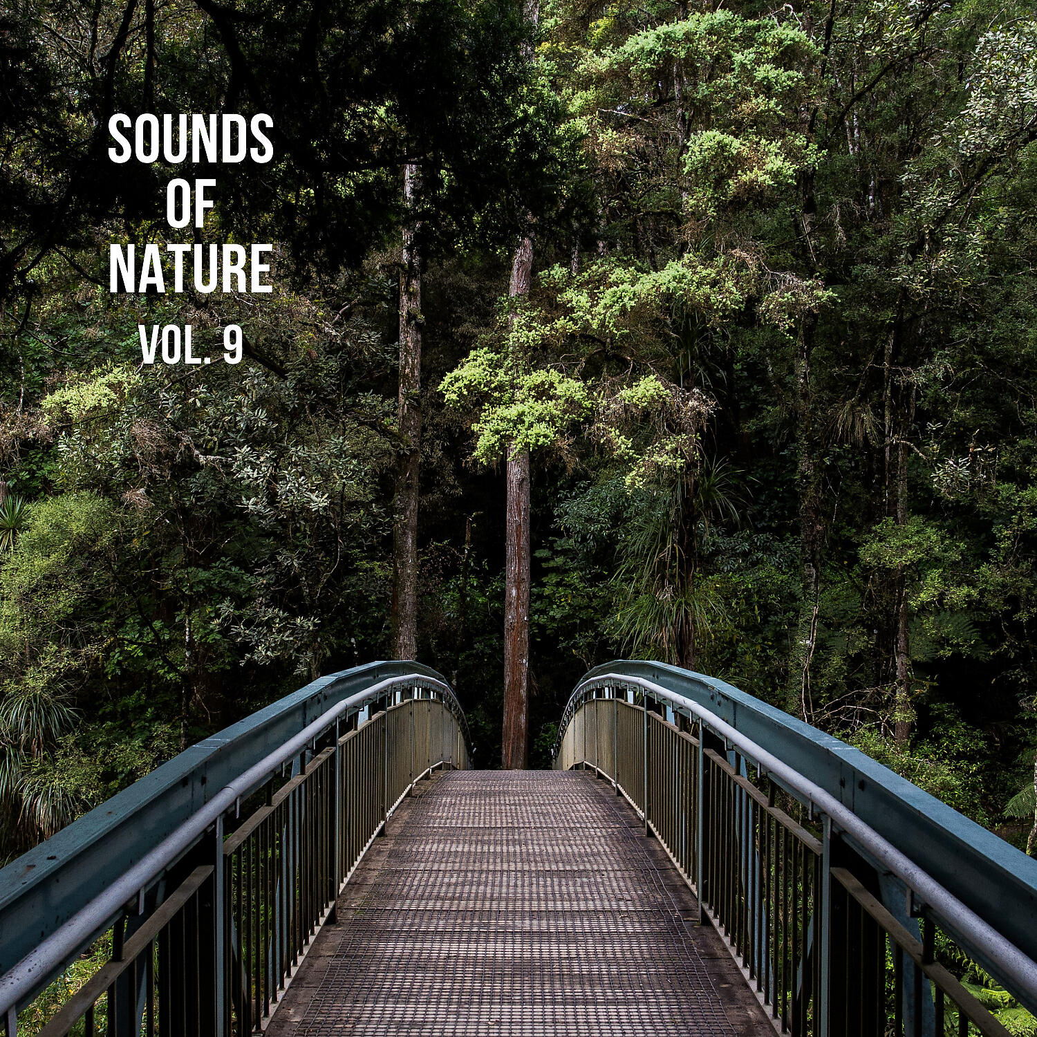 Nature Sounds - Organic Nature Sounds, Pt. 8