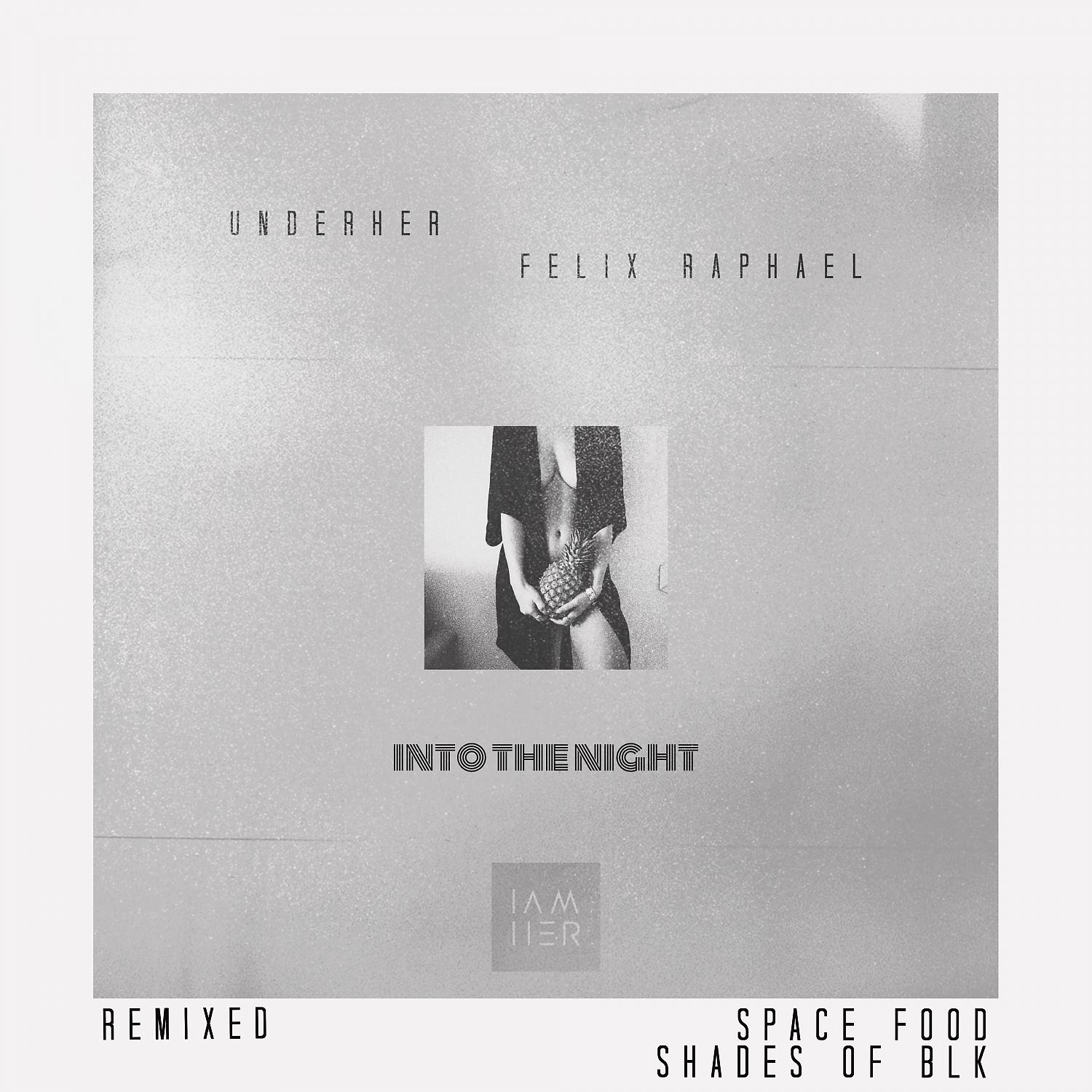 Постер альбома Into the Night (Remixes)