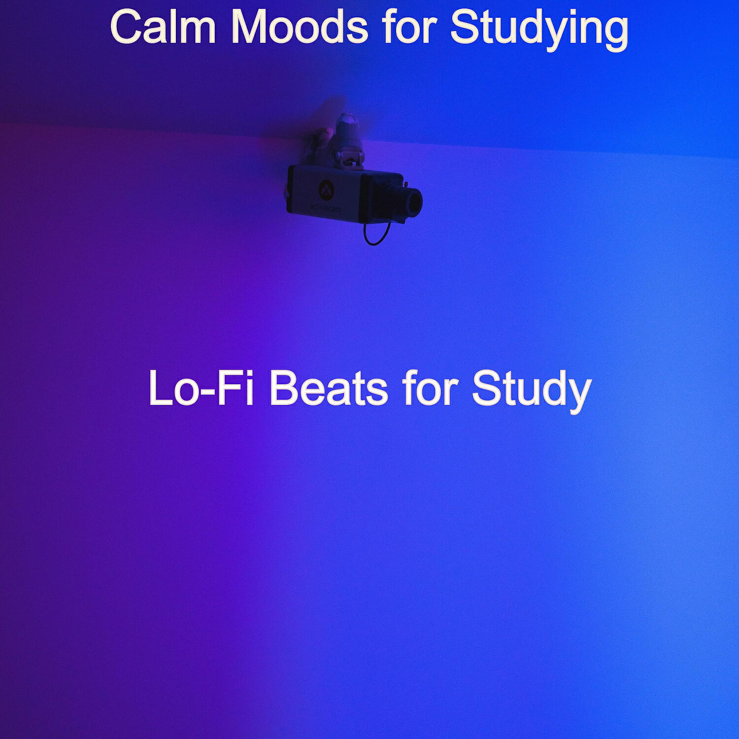 Lo-fi Beats for Study - Excellent Music for Studying