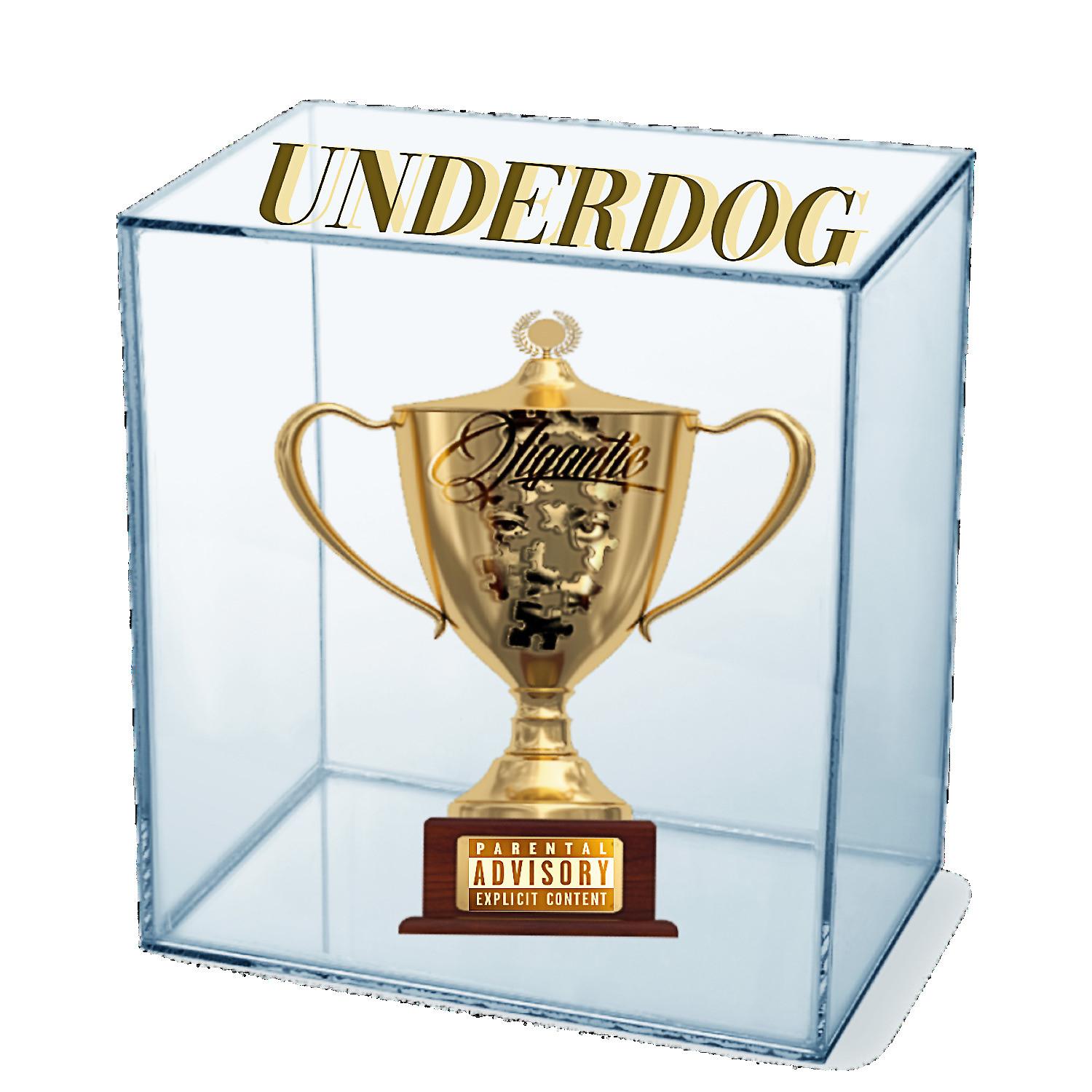 Постер альбома Underdog