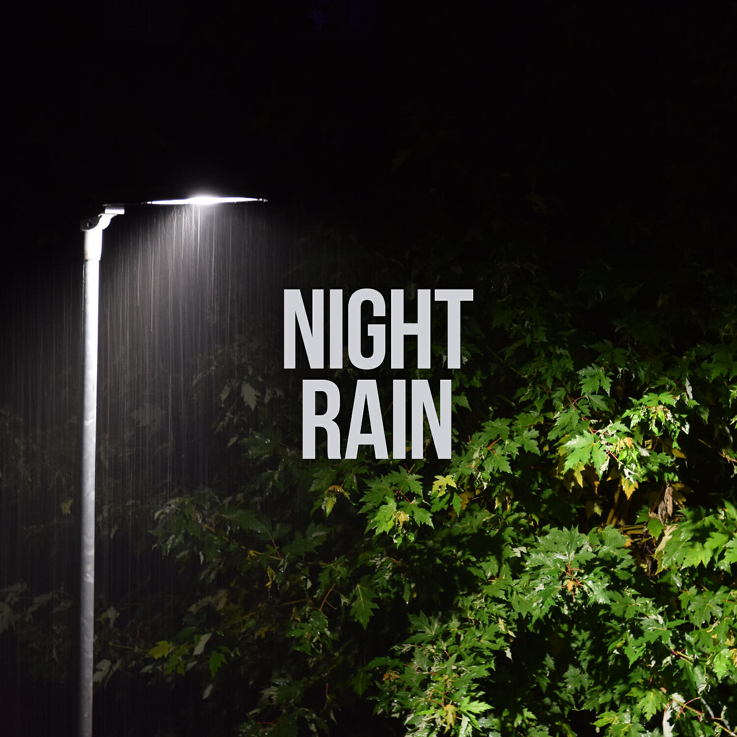 Nature on Record - Nighttime Rain and Thunder