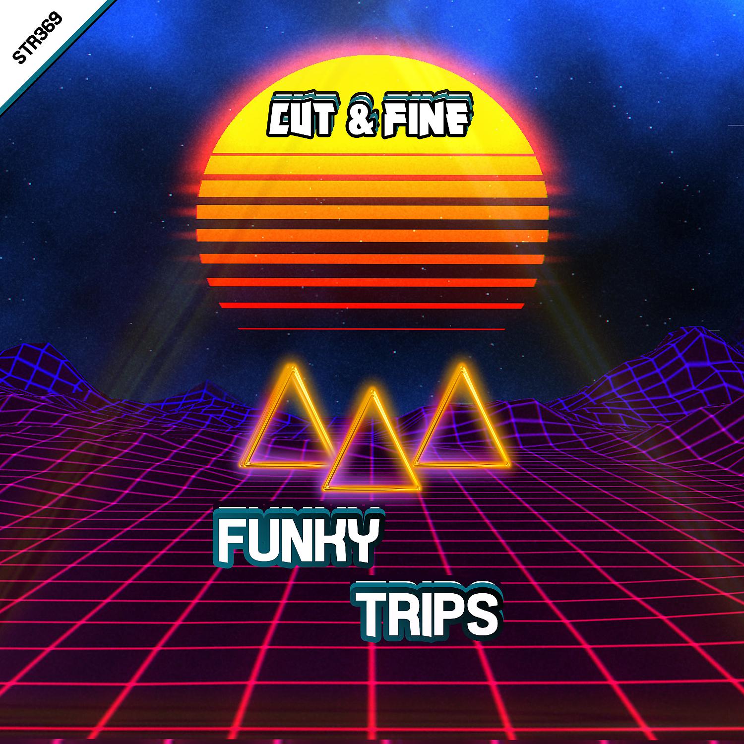 Постер альбома Funky Trips