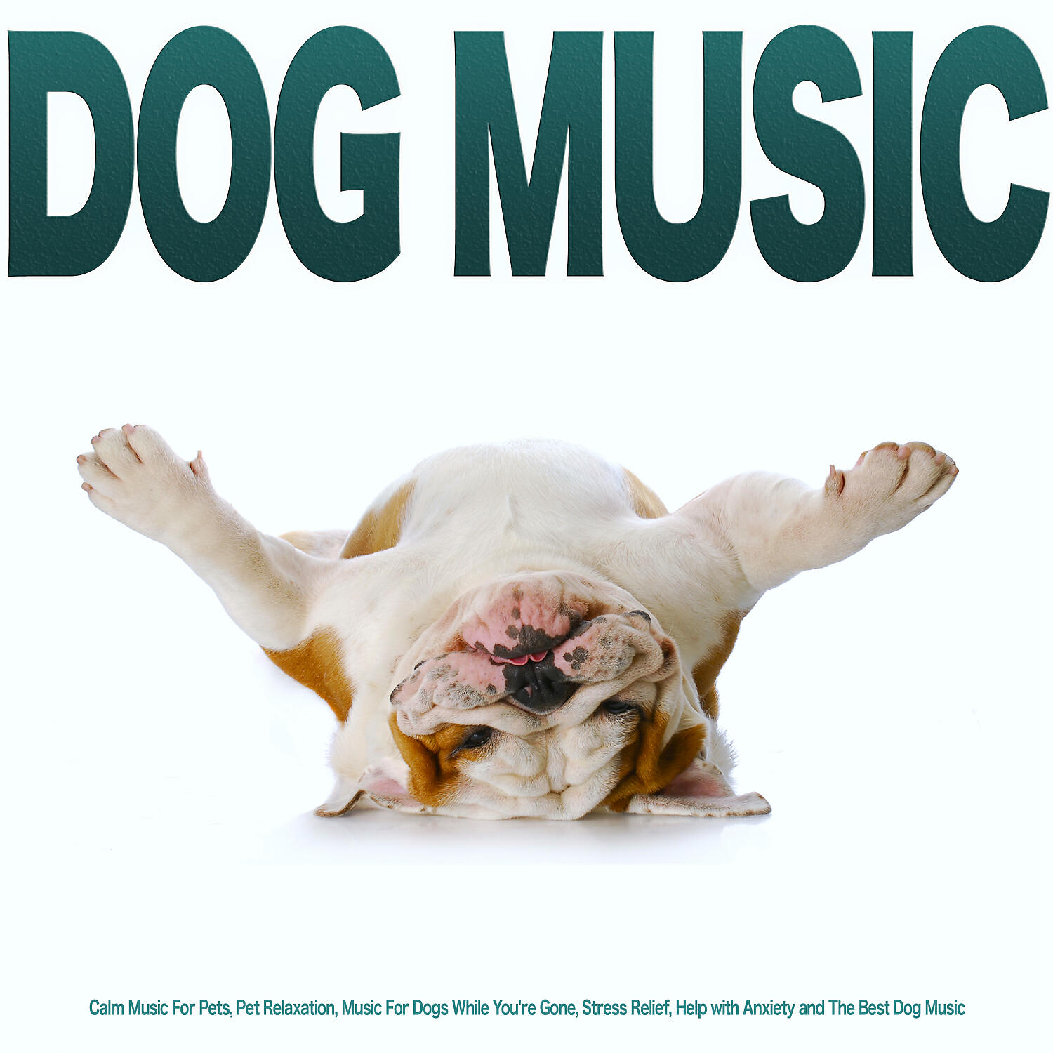 Dog Music - Dog Music Experience