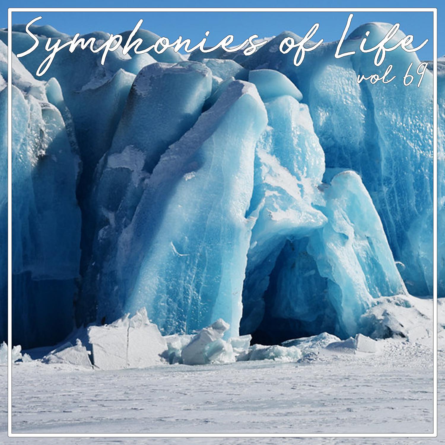 Постер альбома Symphonies of Life, Vol. 69 - Beethoven: Tripple Concerto