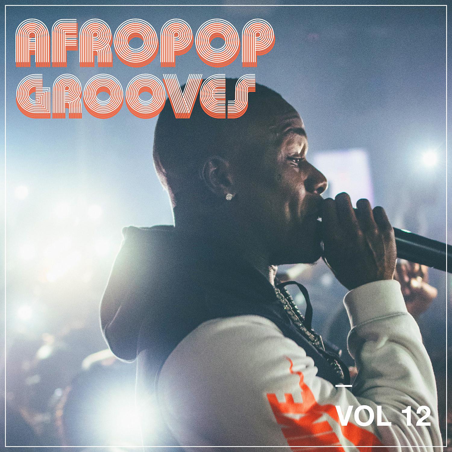 Постер альбома Afropop Grooves, Vol. 12